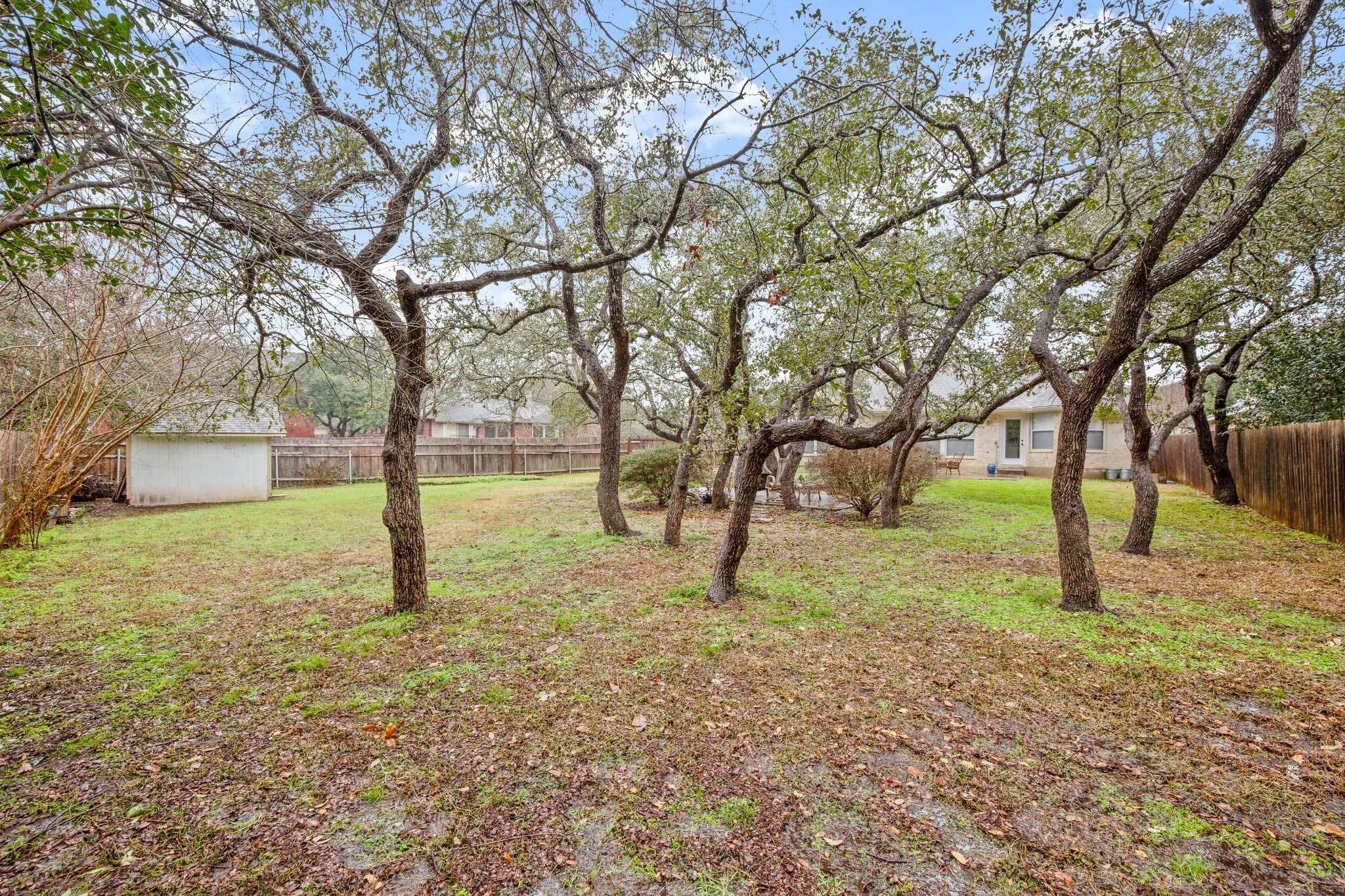 8511 Aoudad Trl Property Photo 18