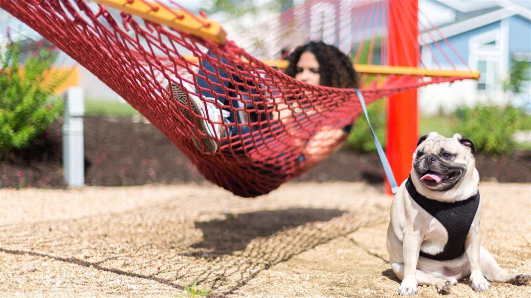 7111 Stitzel Weller Dr Property Photo 18