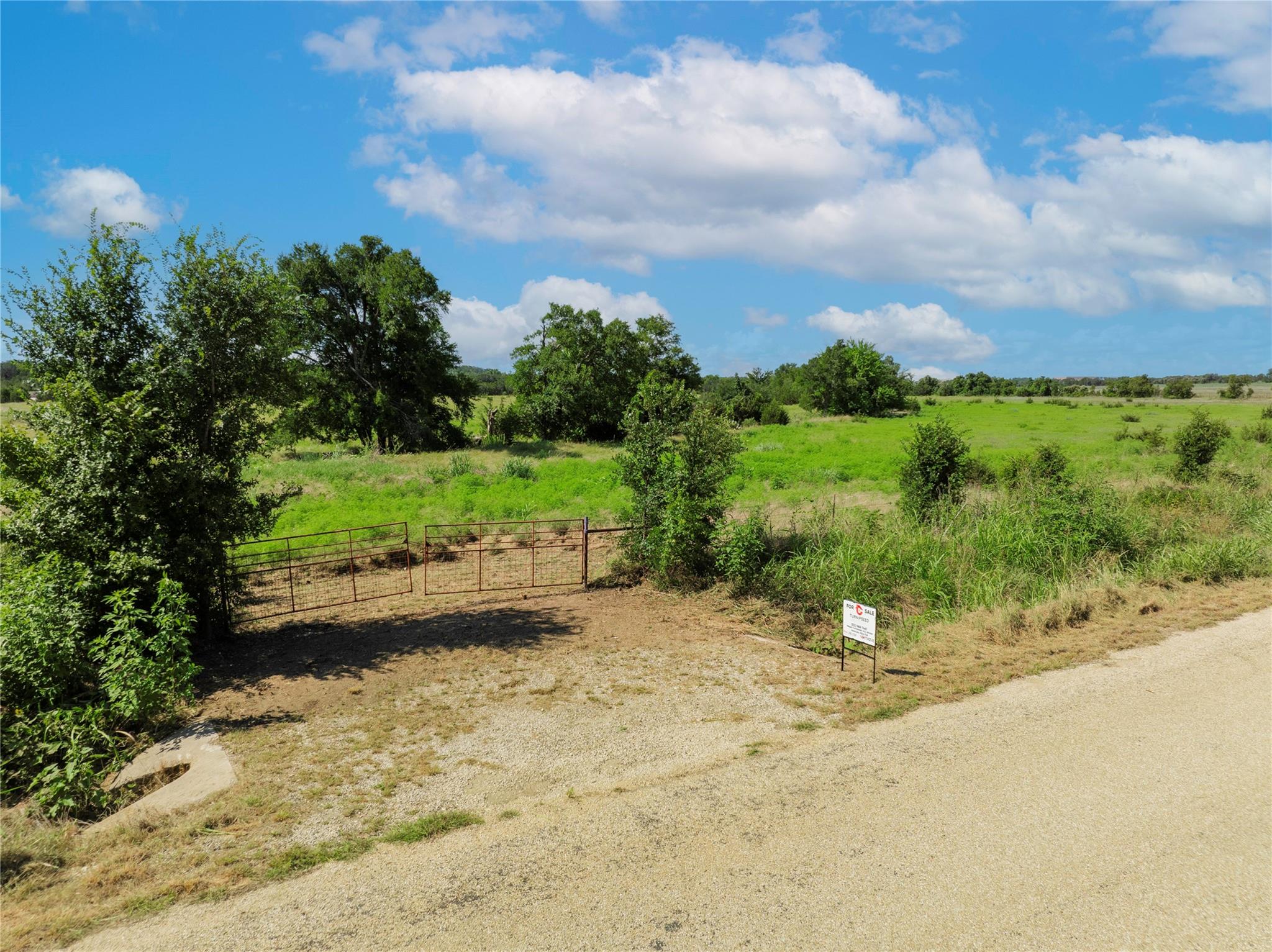 16 Acres County Road 246 Property Photo 2