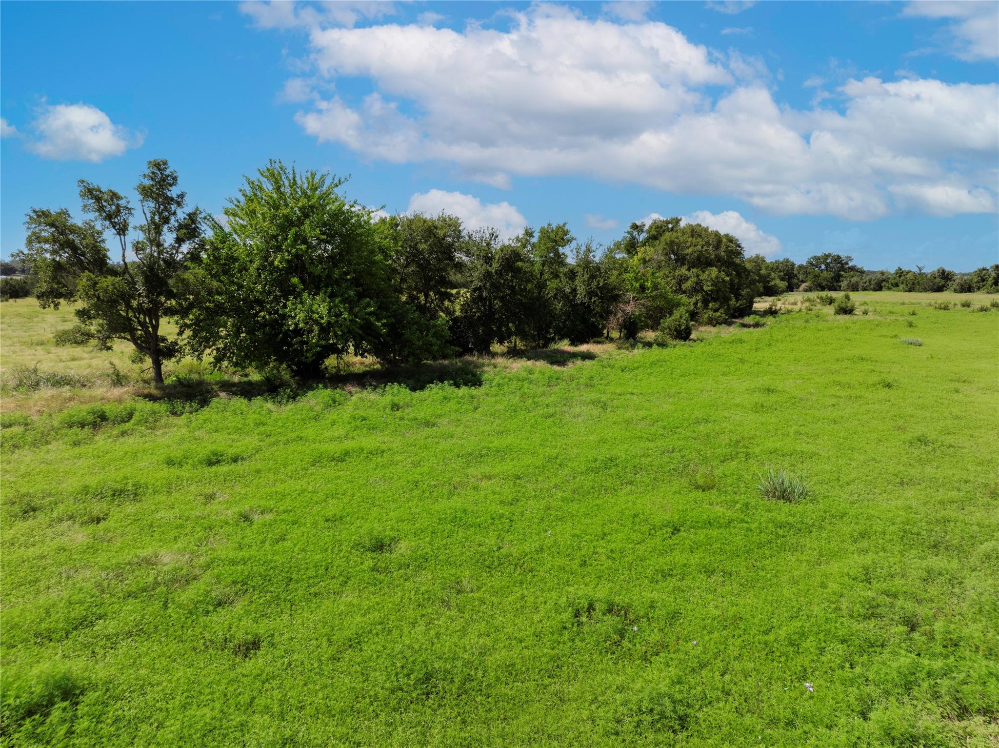 16 Acres County Road 246 Property Photo 5