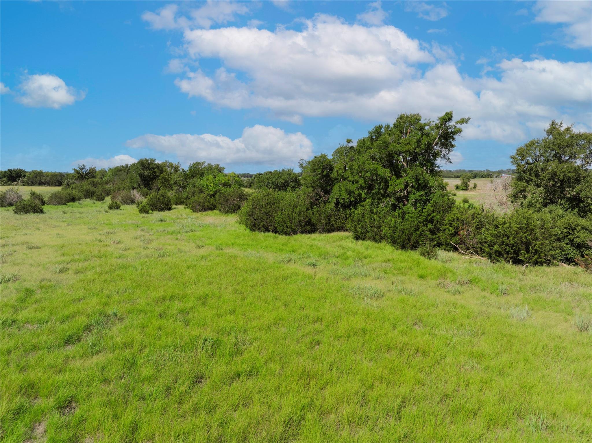 16 Acres County Road 246 Property Photo 6