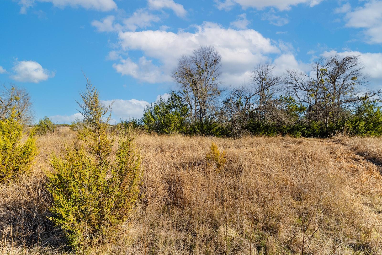 16 Acres County Road 246 Property Photo 25