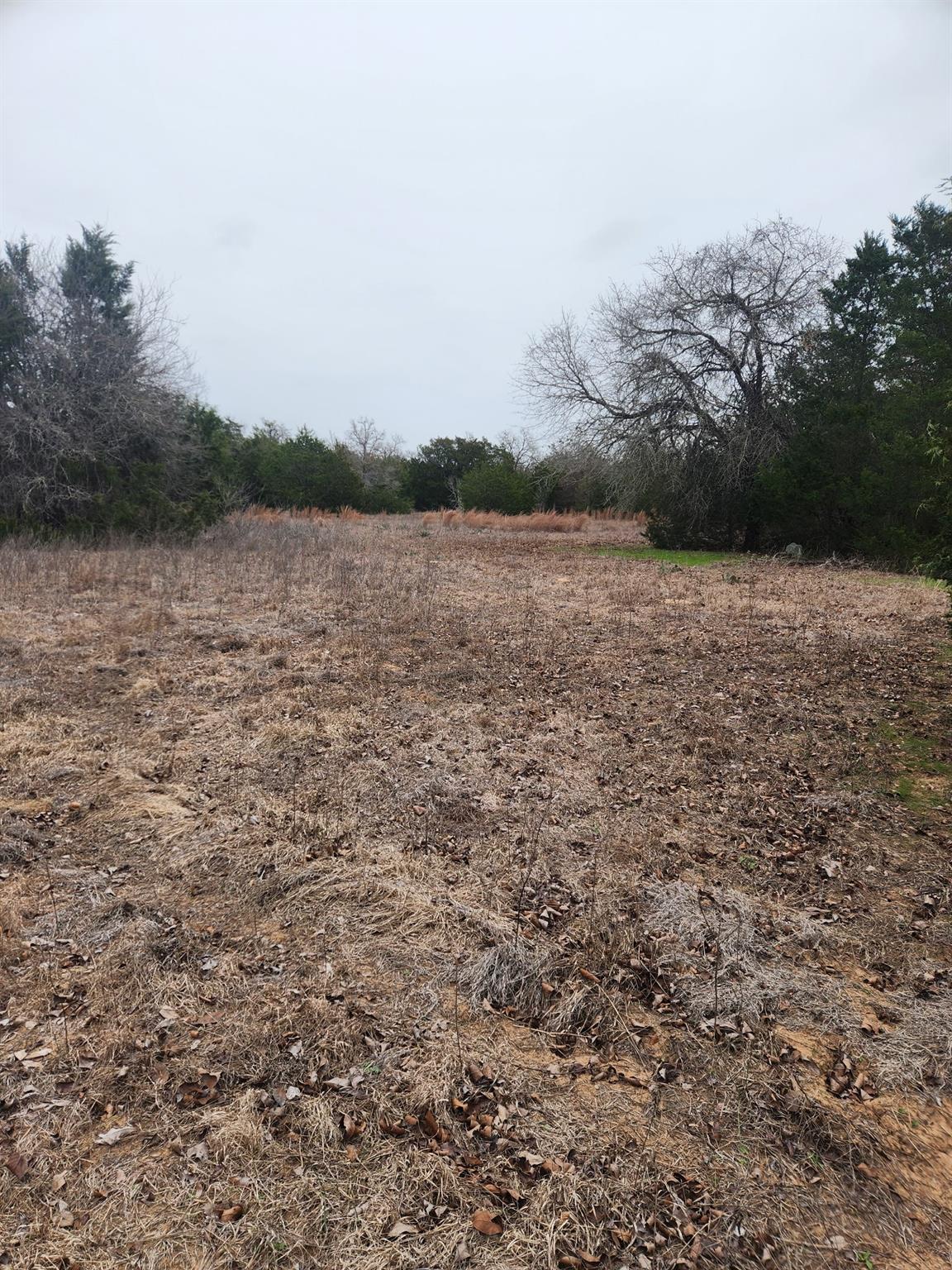 00 Milam Ln Property Photo 4