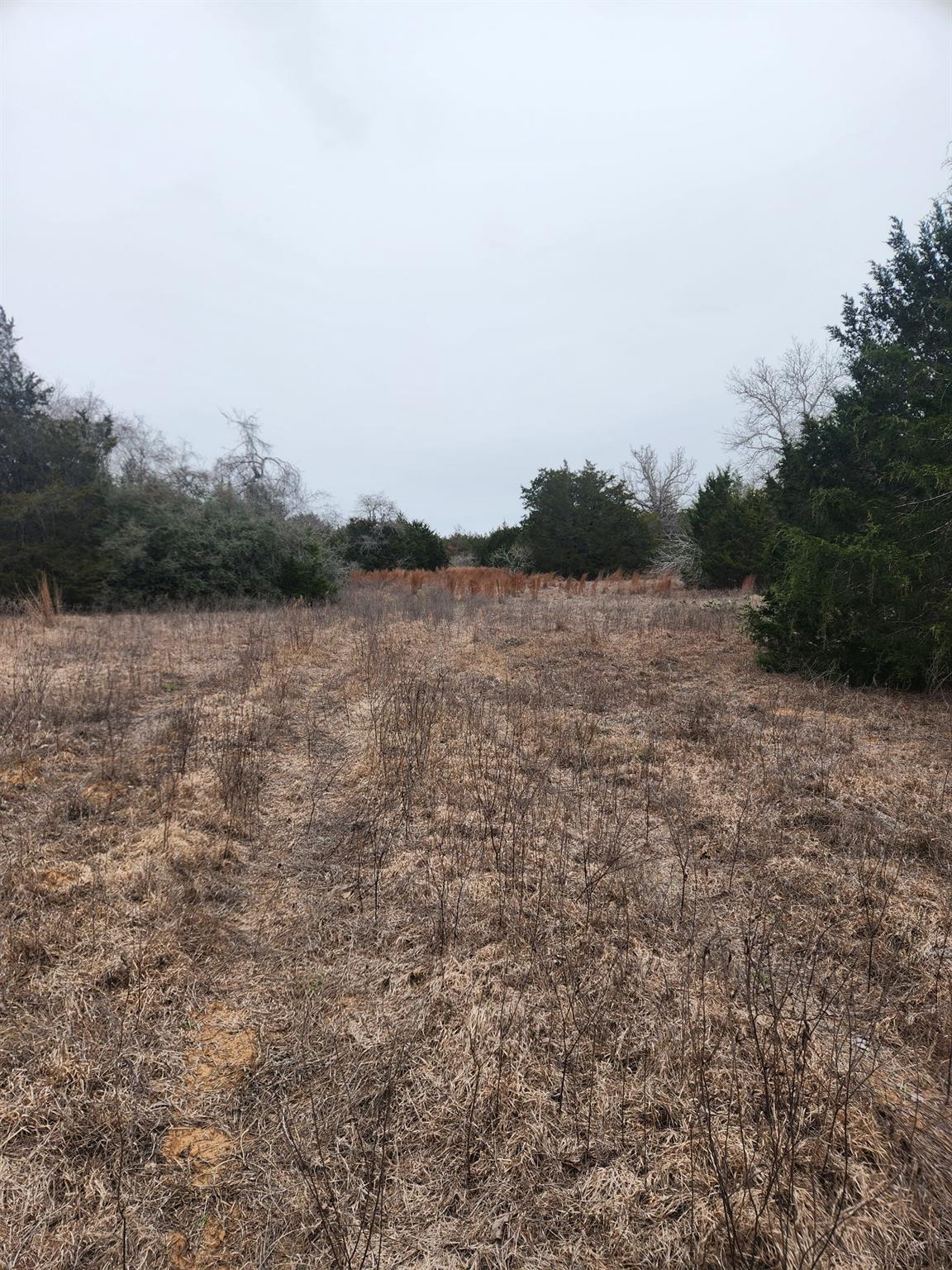 00 Milam Ln Property Photo 5
