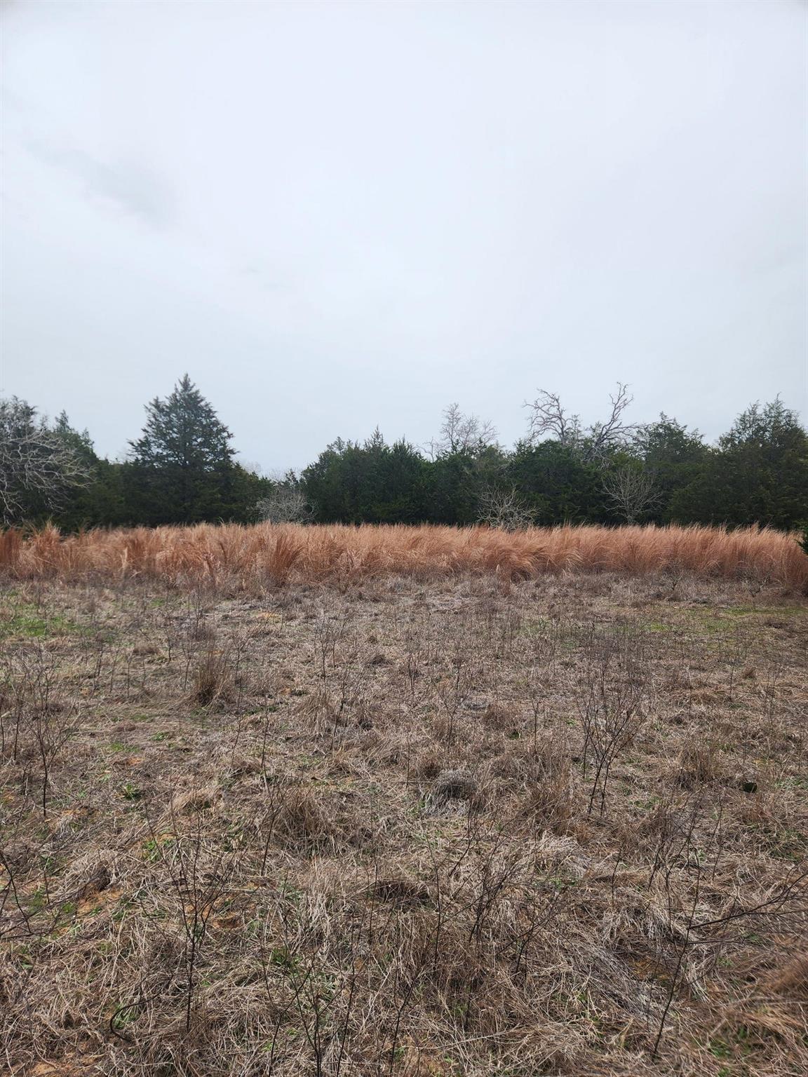 00 Milam Ln Property Photo 6