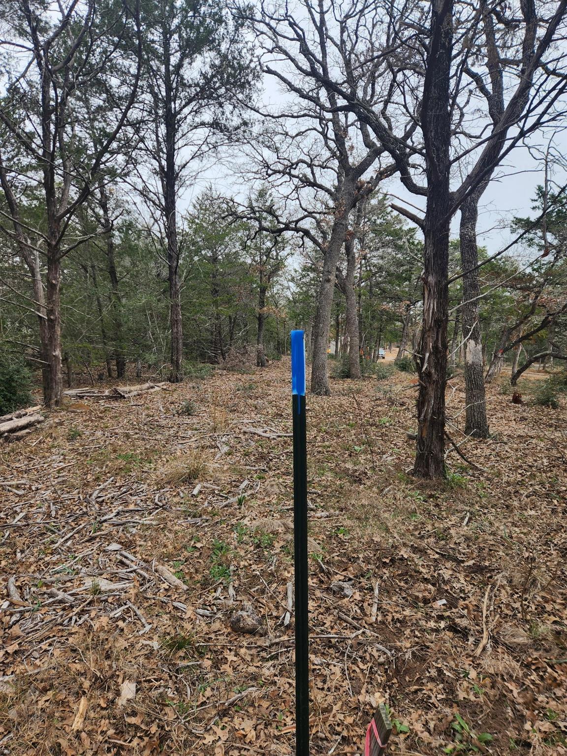 00 Milam Ln Property Photo 8