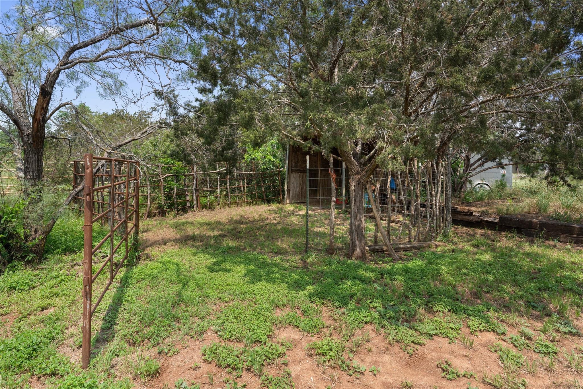 1103 County Road 203 Property Photo 37