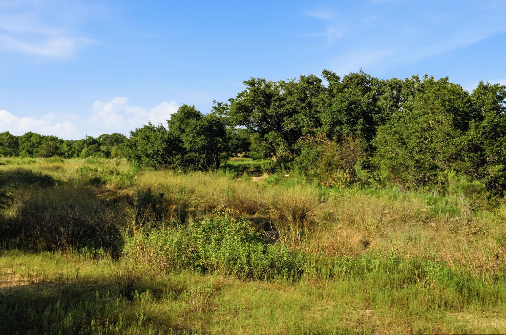 Tbd Lot 68 San Gabriel Cv Property Photo 5