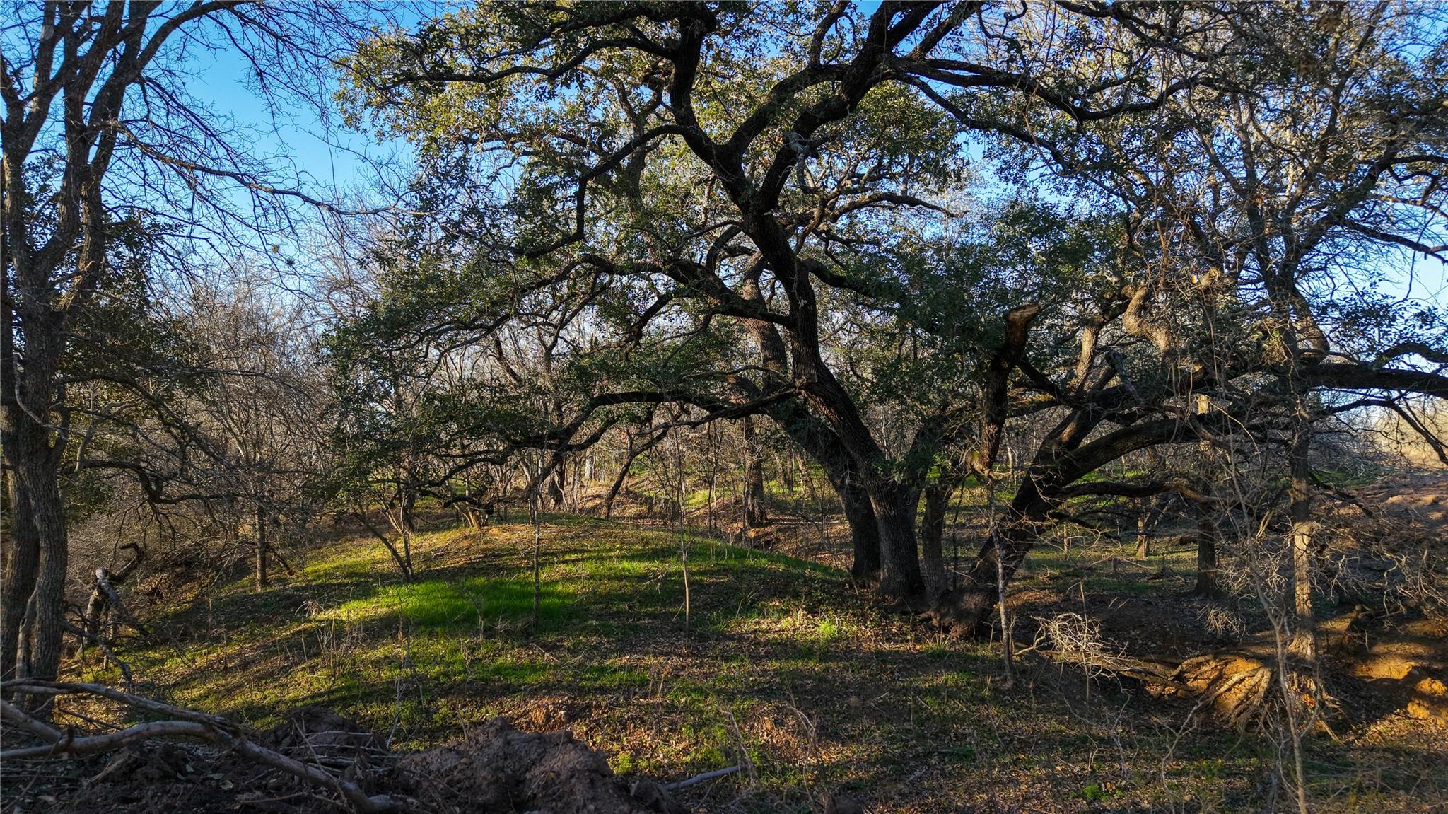 000 Dowdy Rd Property Photo 1