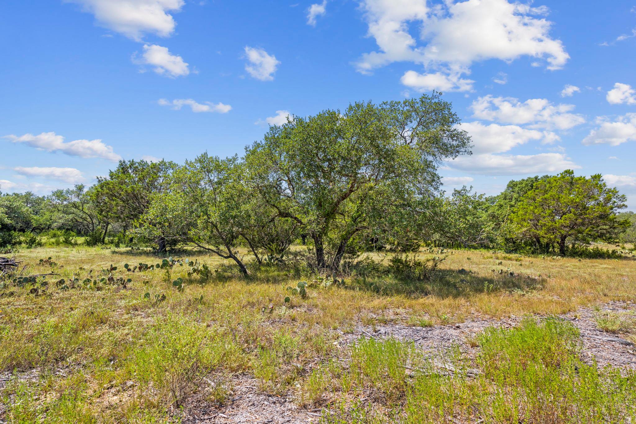 Lot 170 Heartleaf Dr Property Photo 1