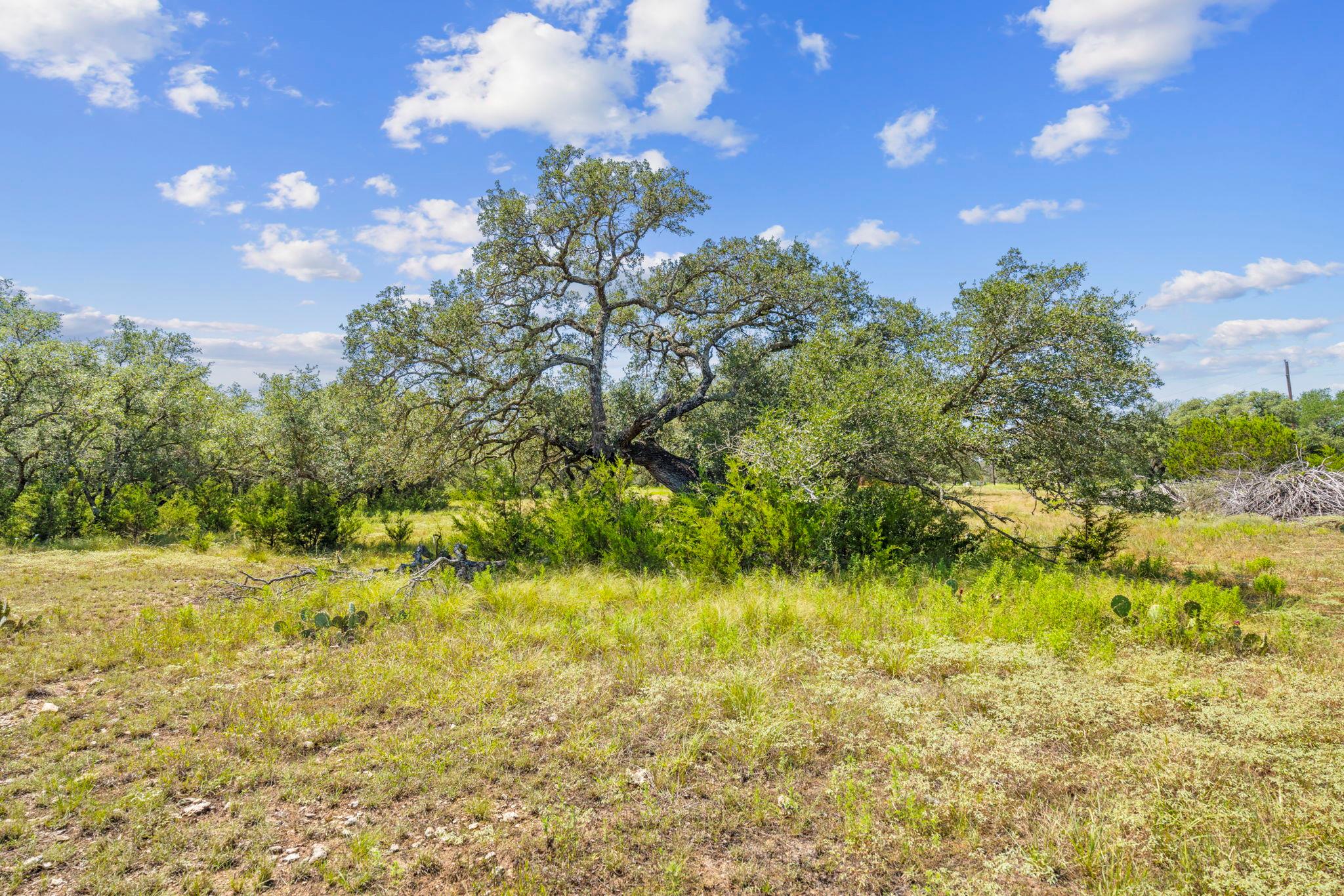 Lot 170 Heartleaf Dr Property Photo 2
