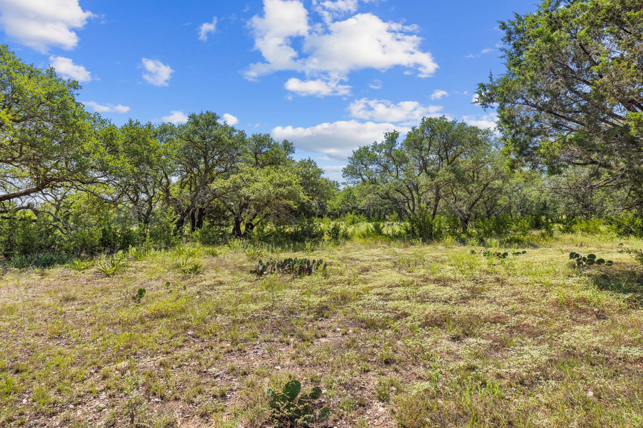 Lot 170 Heartleaf Dr Property Photo 3