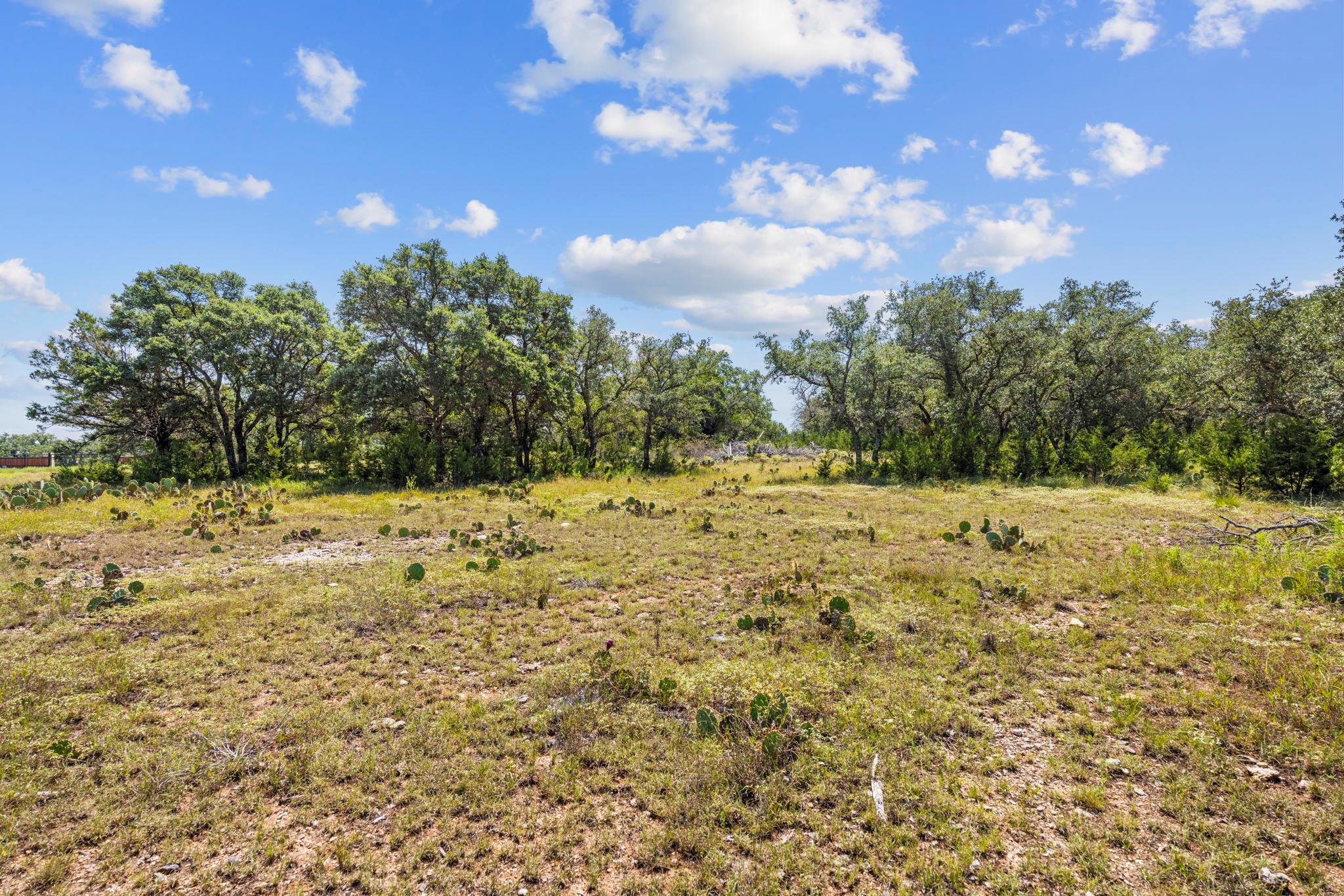 Lot 170 Heartleaf Dr Property Photo 8