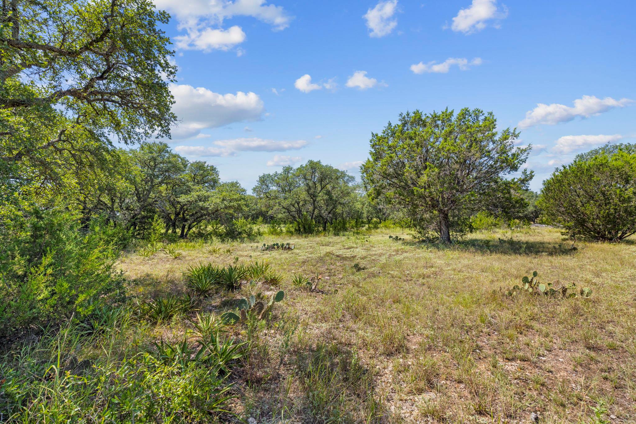 Lot 170 Heartleaf Dr Property Photo 10
