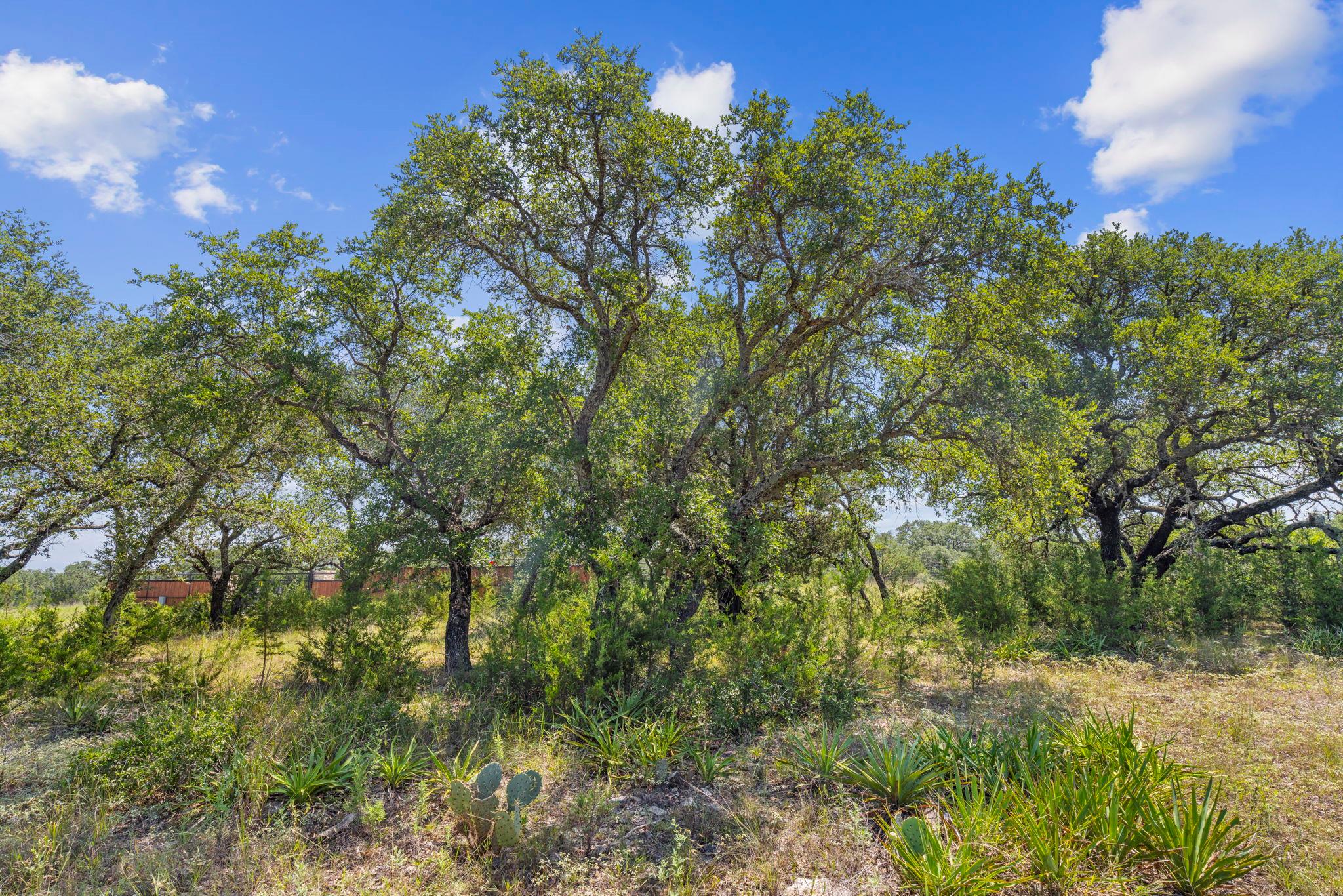Lot 170 Heartleaf Dr Property Photo 11