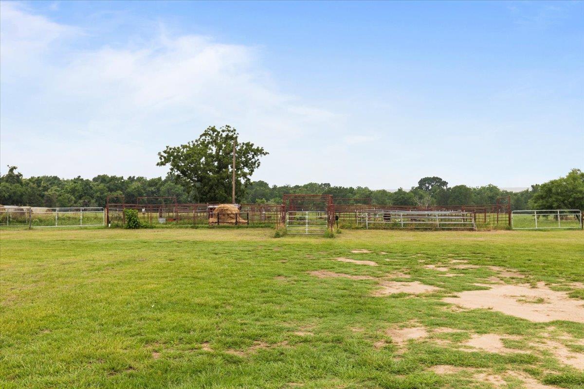 1436 Fm 2571 Property Photo 29