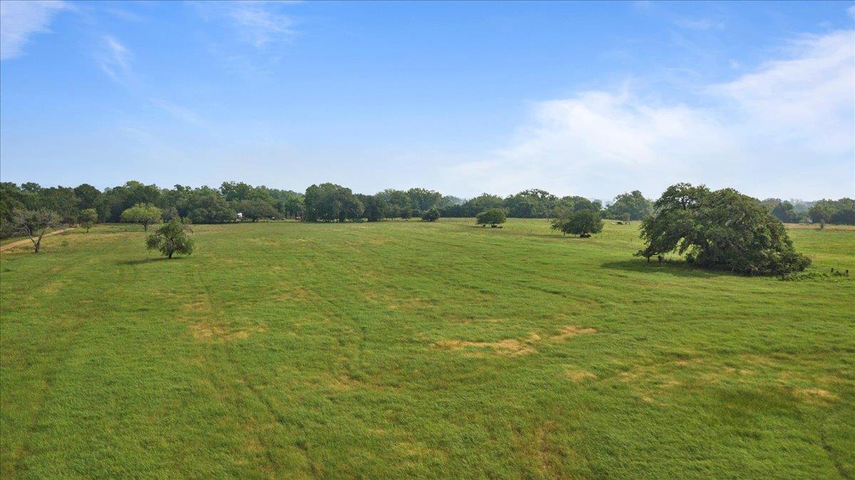 1436 Fm 2571 Property Photo 34