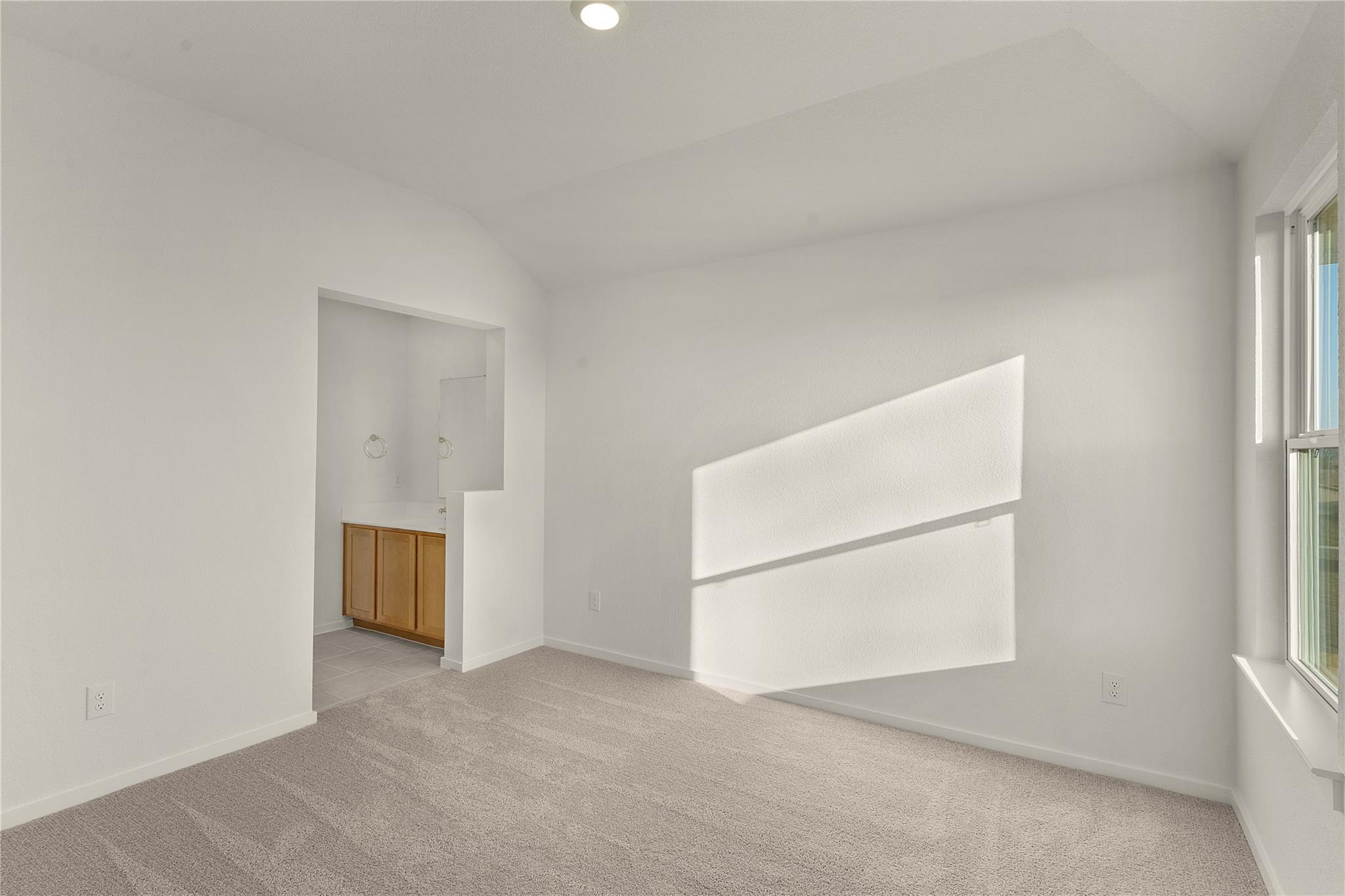 13813 Scarlett Song Dr Property Photo 23