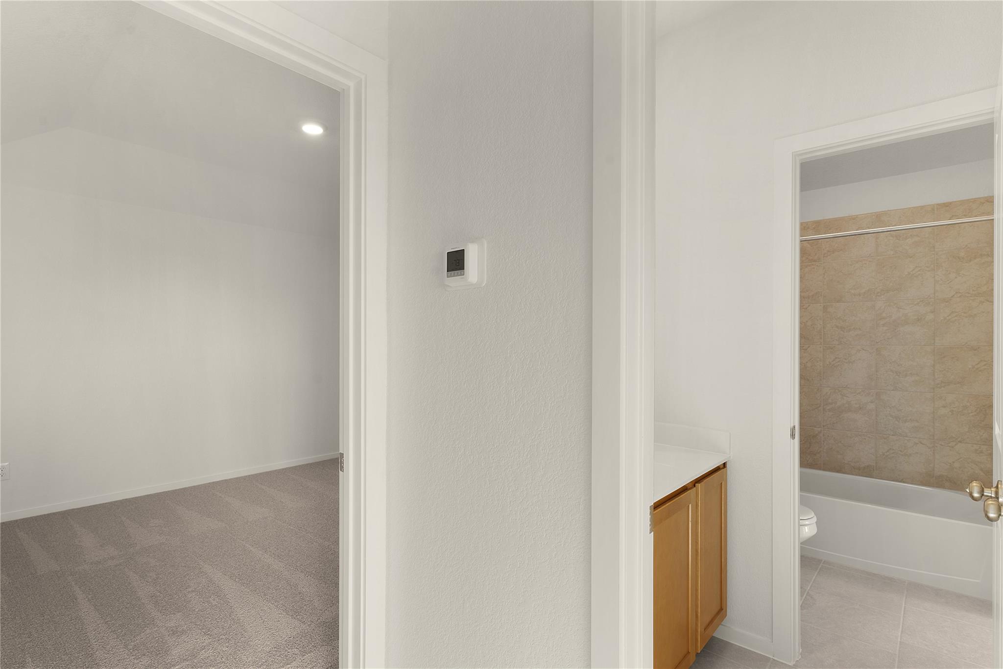 13813 Scarlett Song Dr Property Photo 24
