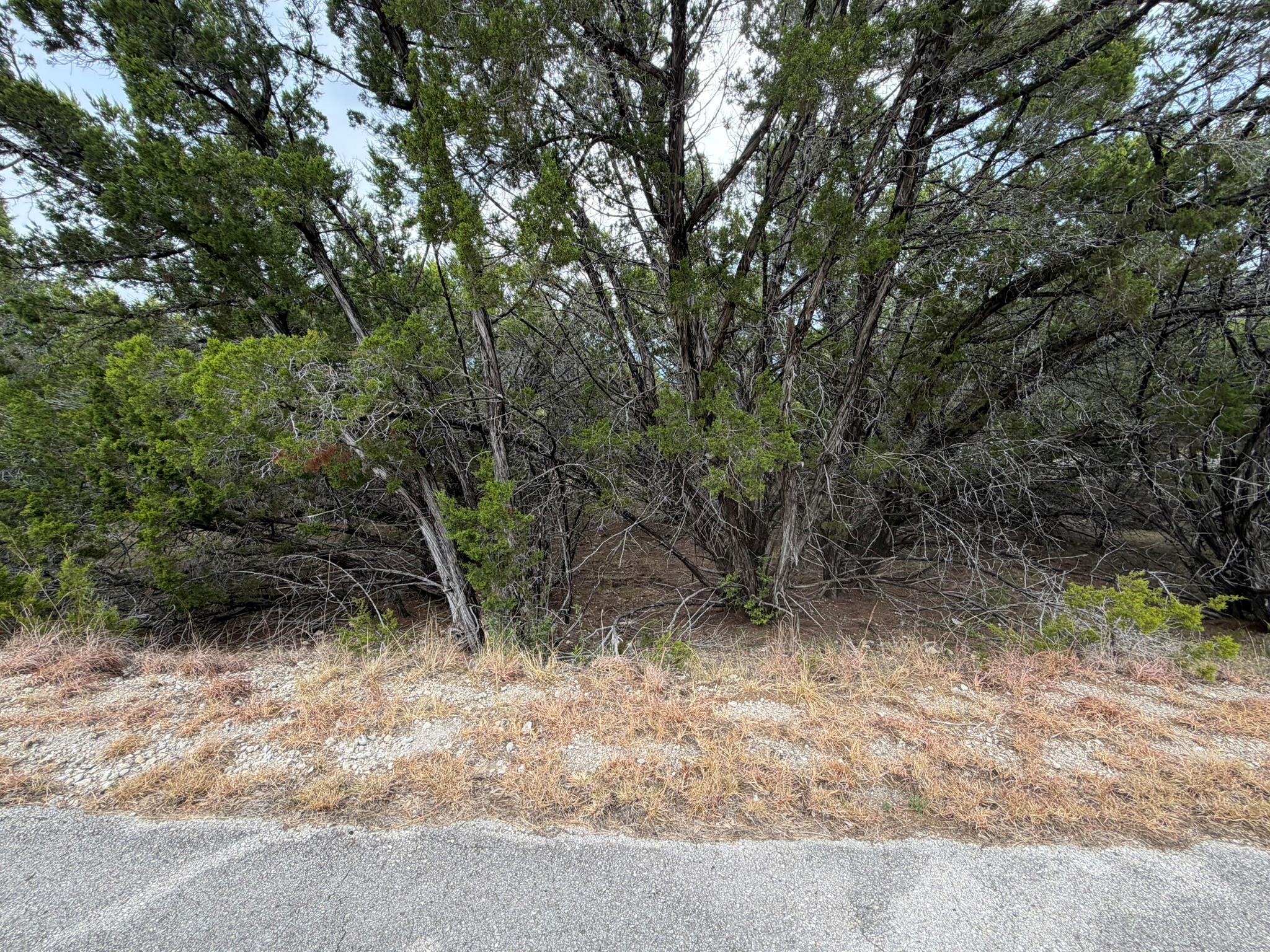 3600 Stillwood Ln Property Photo 3