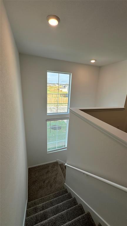 204 Inks Ln Property Photo 19