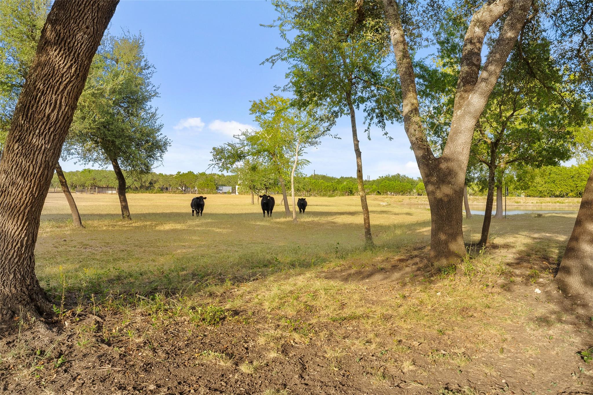 2700 County Road 282 Rd Property Photo 40