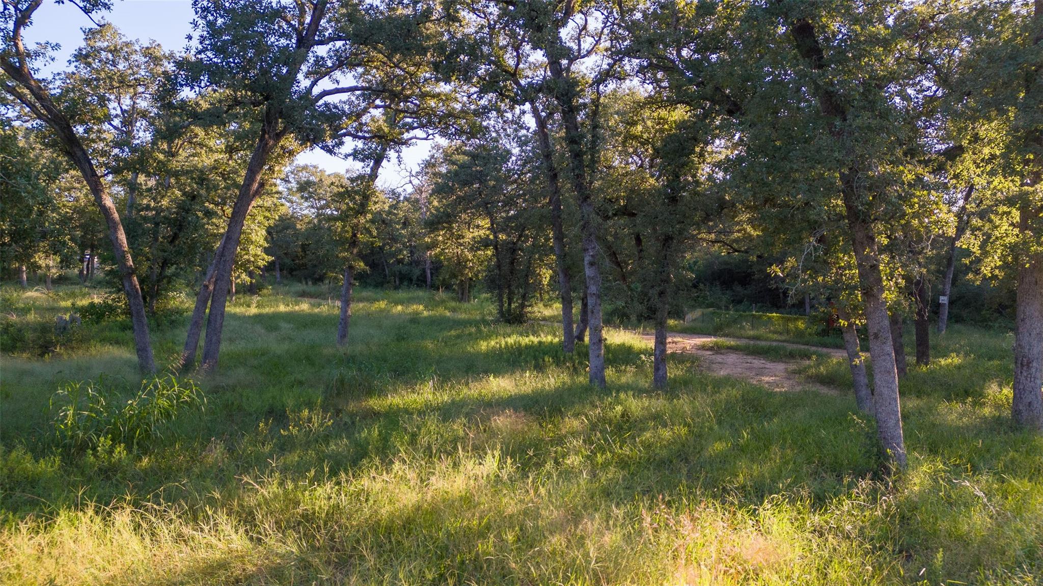 277 Meuth Cemetery Rd Property Photo 6