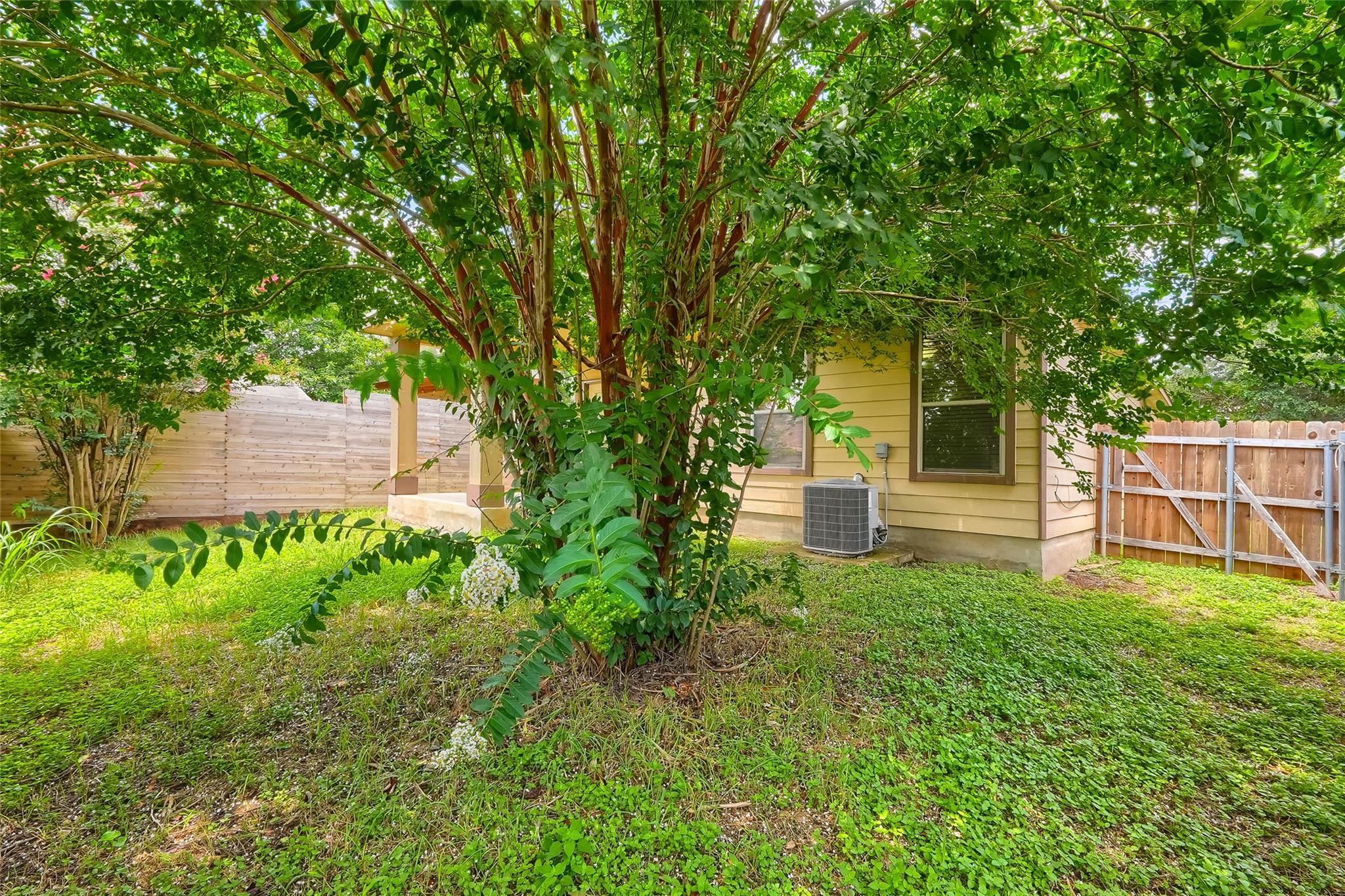 8921 Stambourne St Property Photo 29