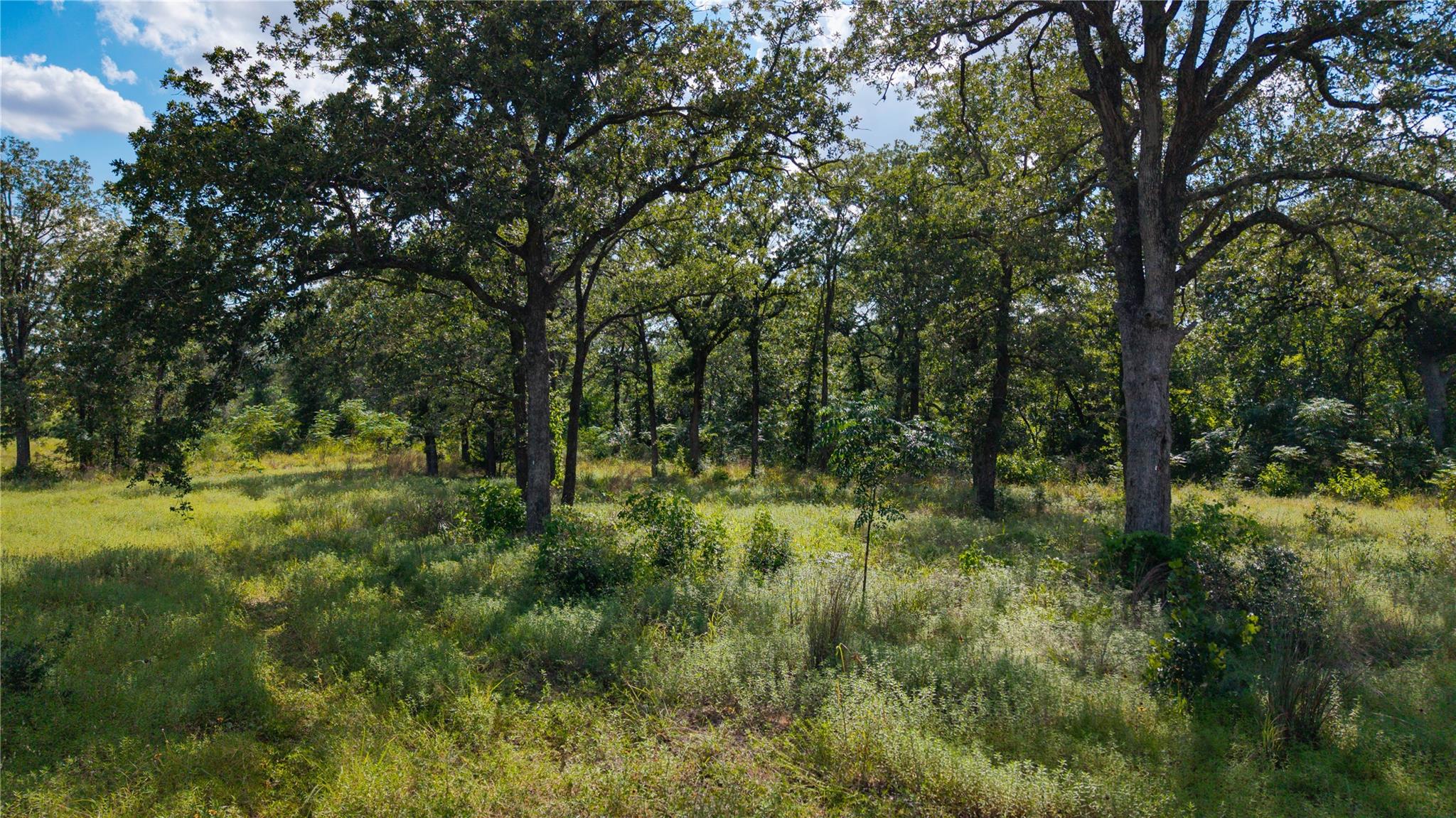 206 Sayers Rd Property Photo 12