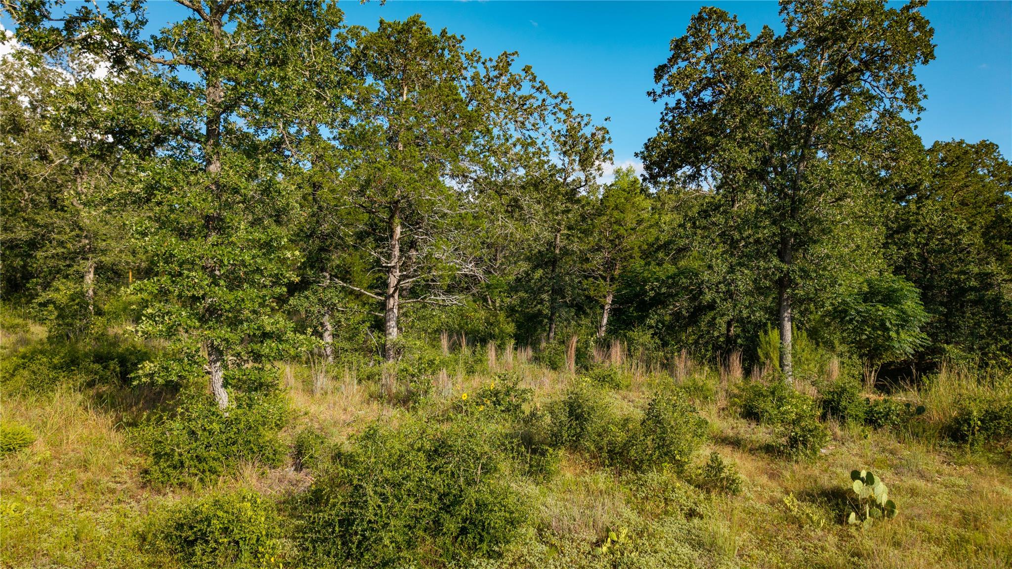 206 Sayers Rd Property Photo 14