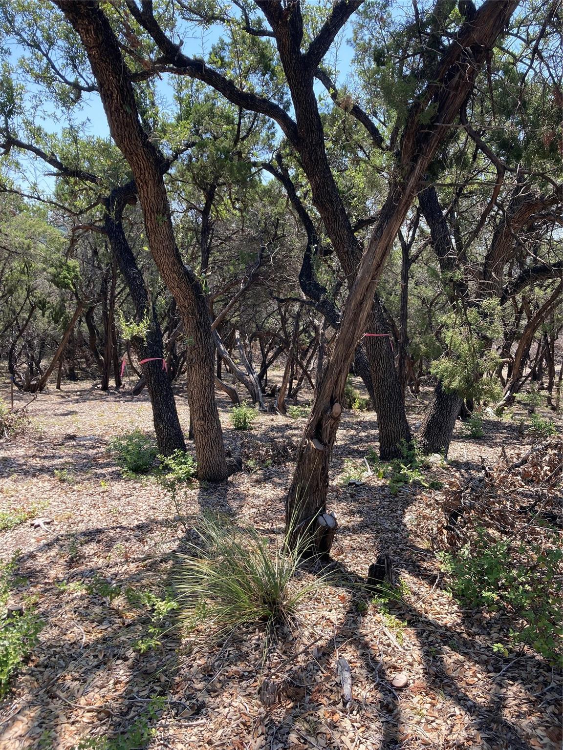 6601 N Capital Of Texas Hwy Property Photo 3