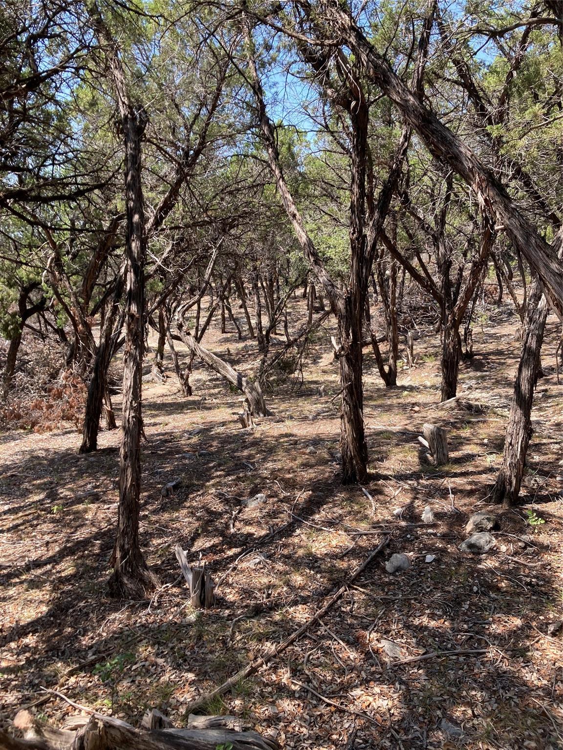 6601 N Capital Of Texas Hwy Property Photo 6