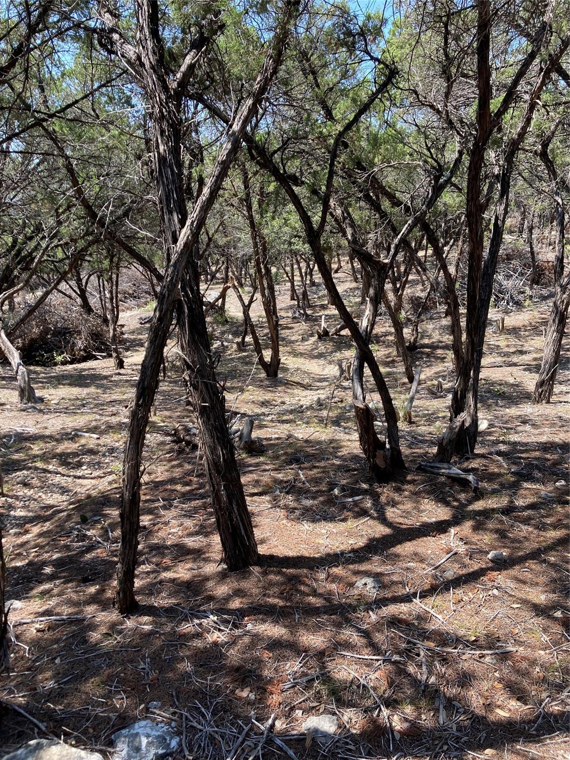 6601 N Capital Of Texas Hwy Property Photo 9