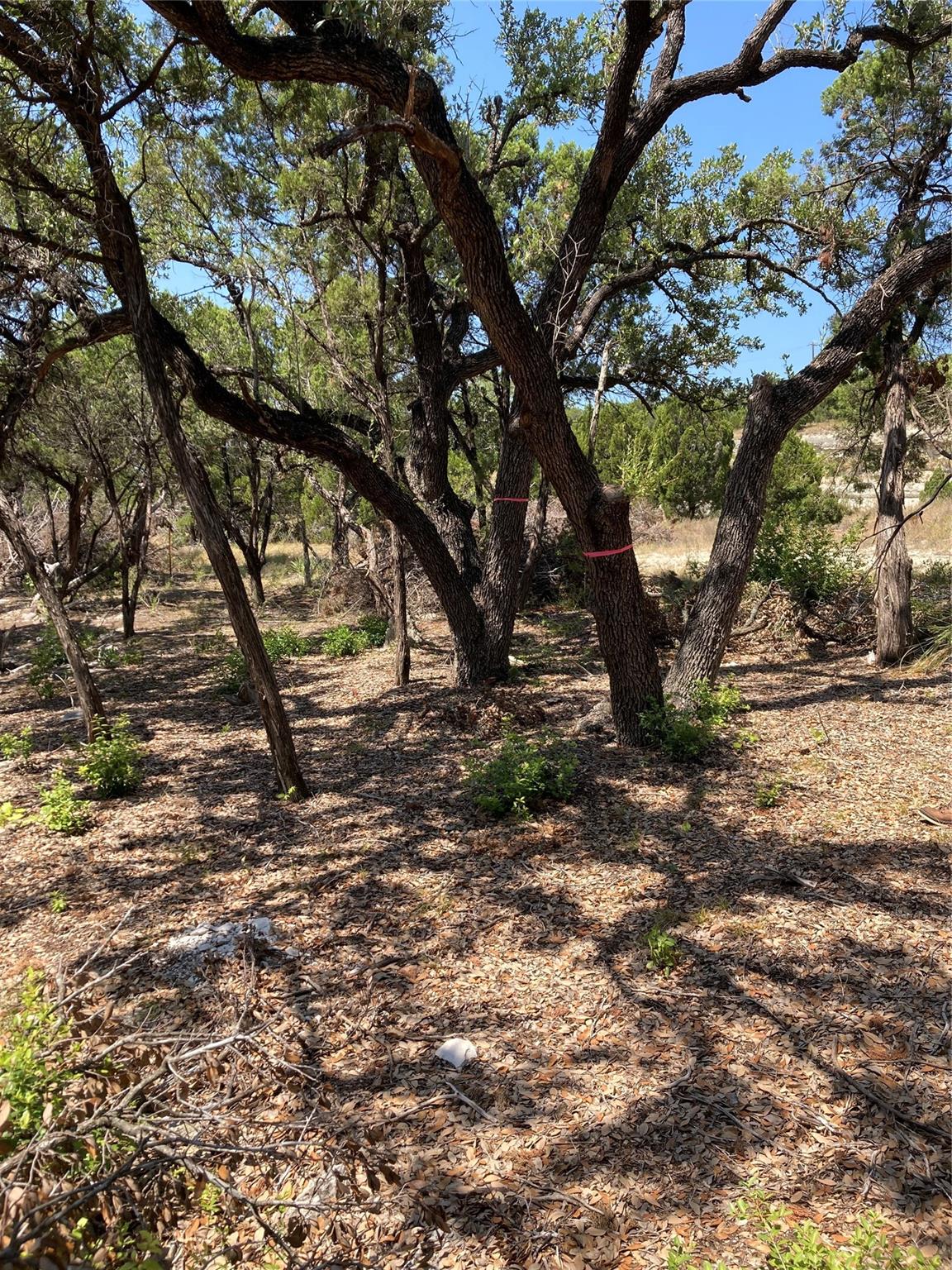 6601 N Capital Of Texas Hwy Property Photo 11