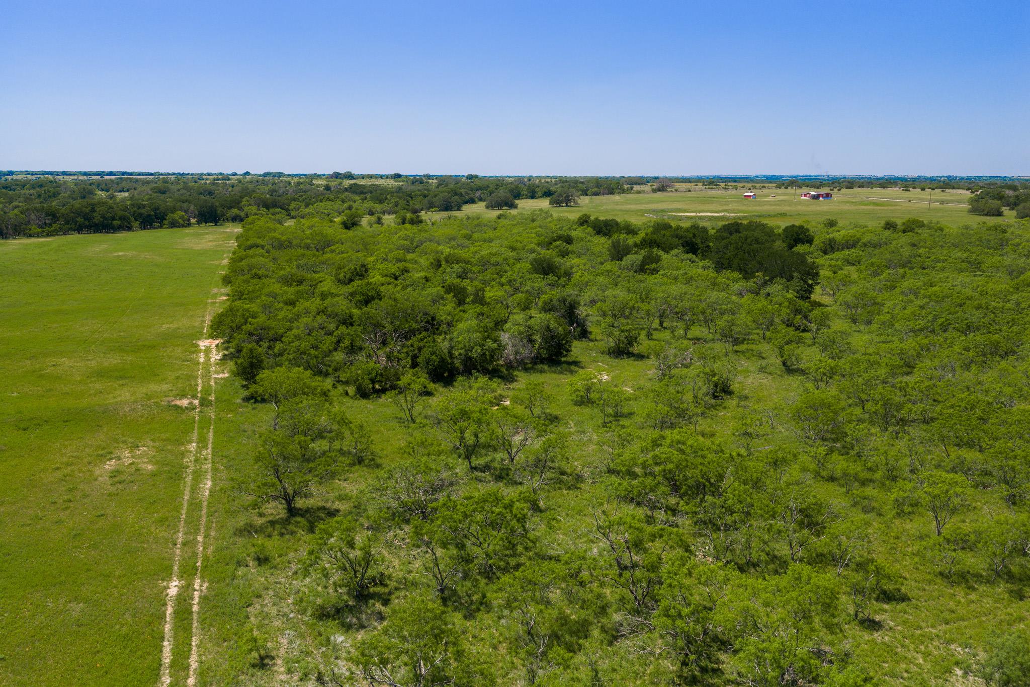 Tbd County Road 180 Covered Meadows Ranch Rd Property Photo 8
