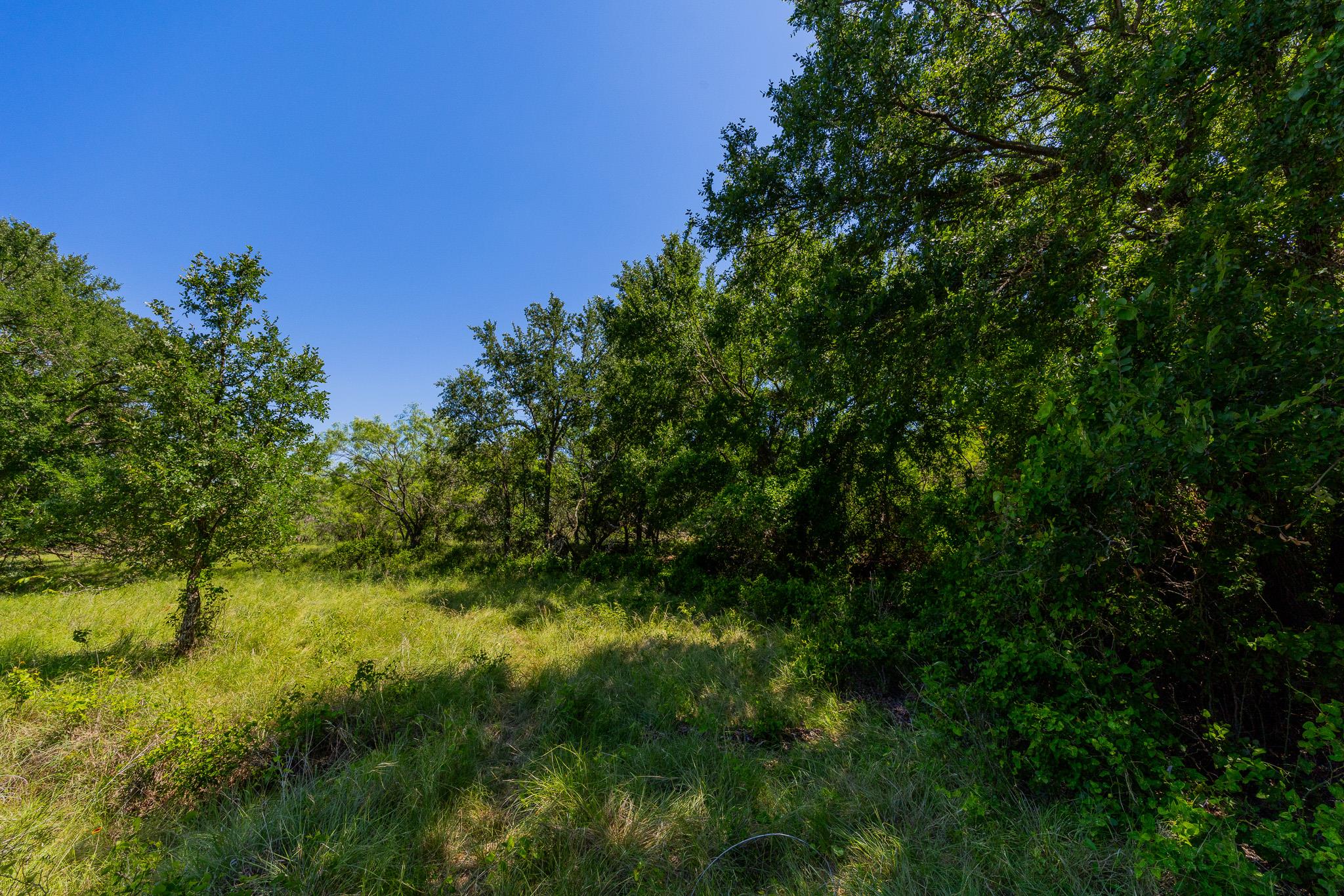 Tbd County Road 180 Covered Meadows Ranch Rd Property Photo 9