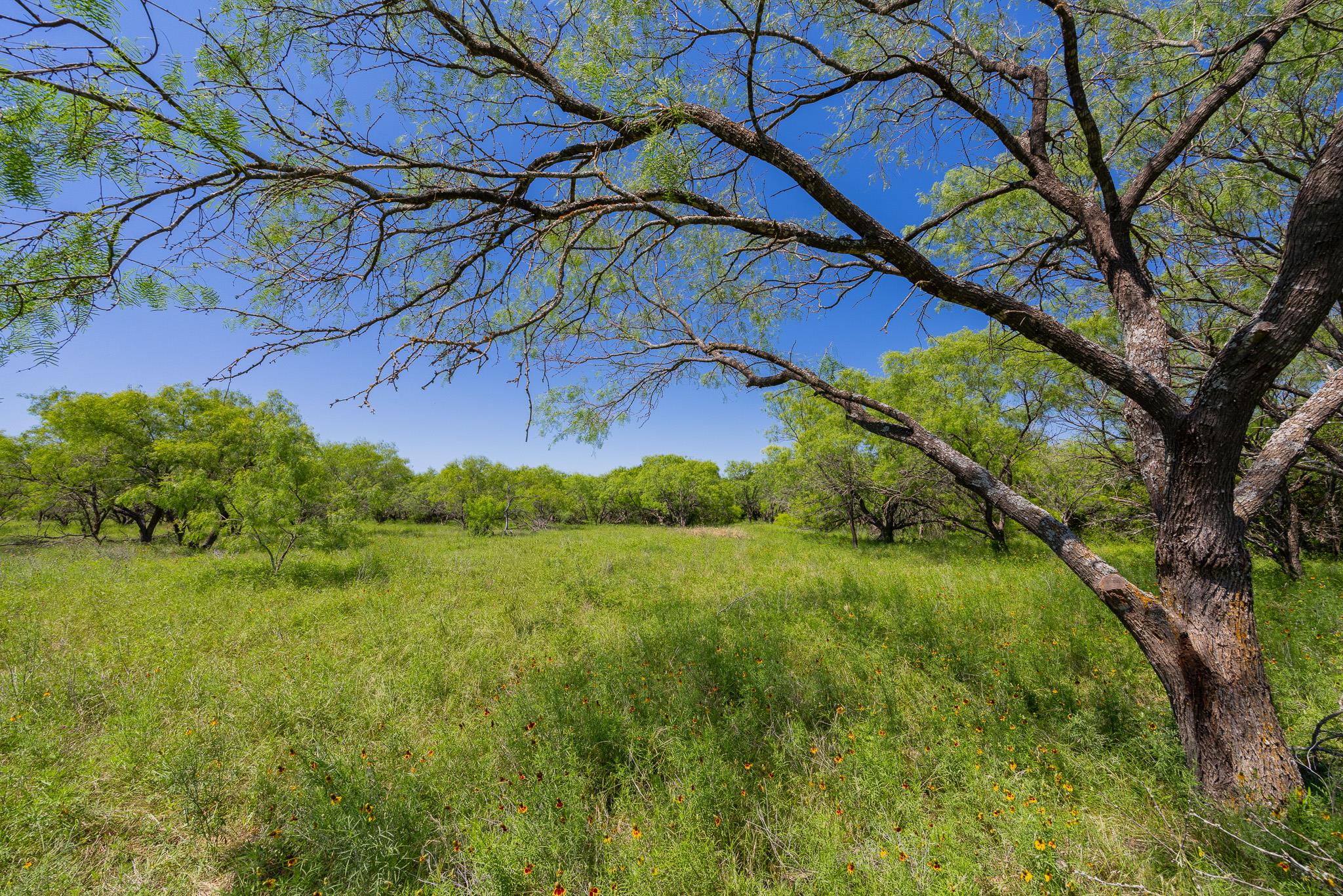 Tbd County Road 180 Covered Meadows Ranch Rd Property Photo 14