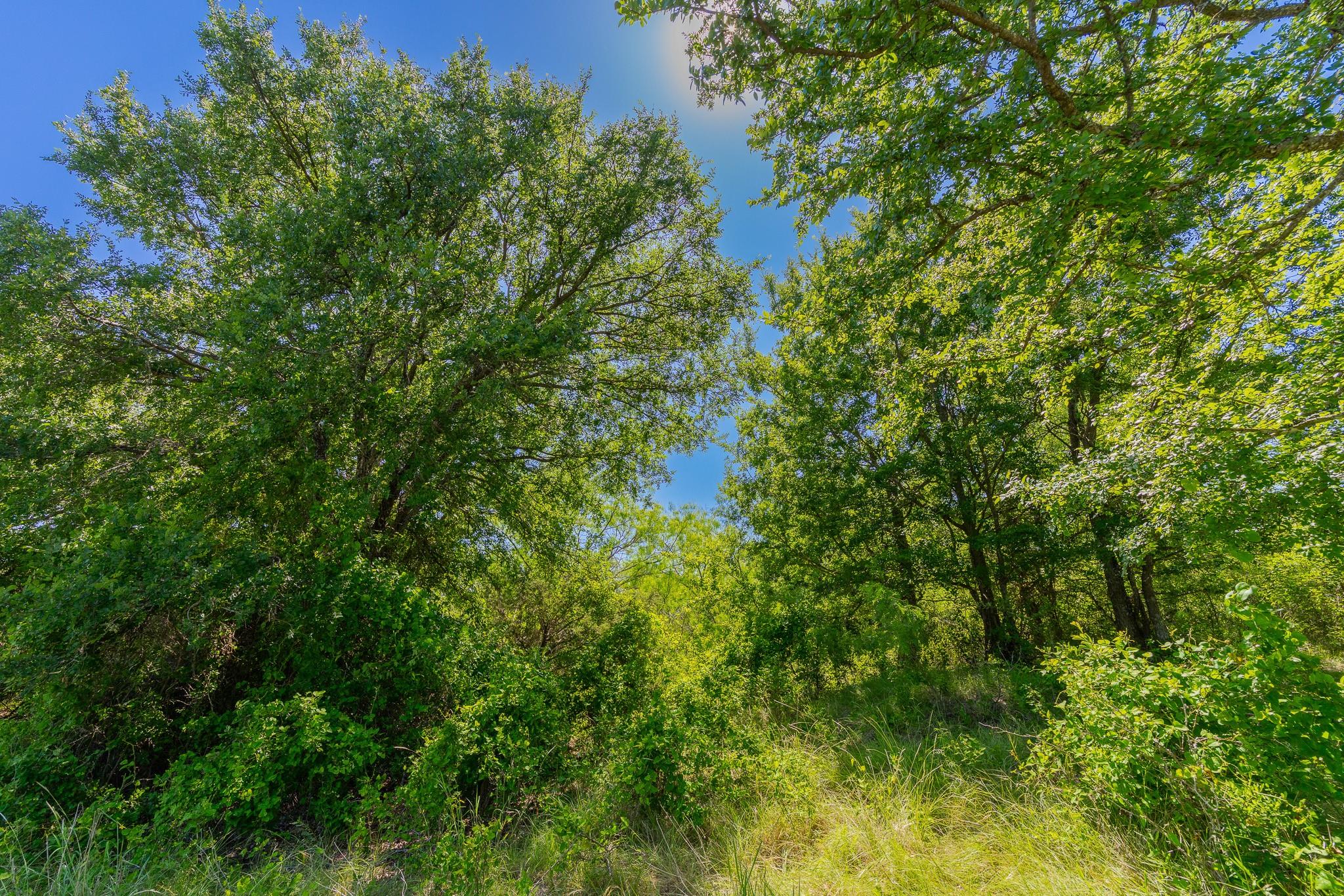 Tbd County Road 180 Covered Meadows Ranch Rd Property Photo 17