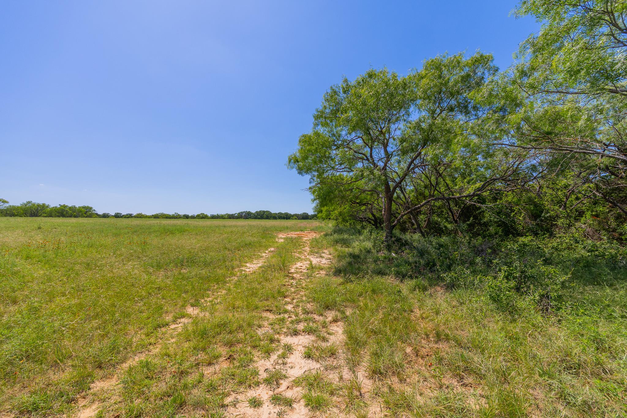 Tbd County Road 180 Covered Meadows Ranch Rd Property Photo 19