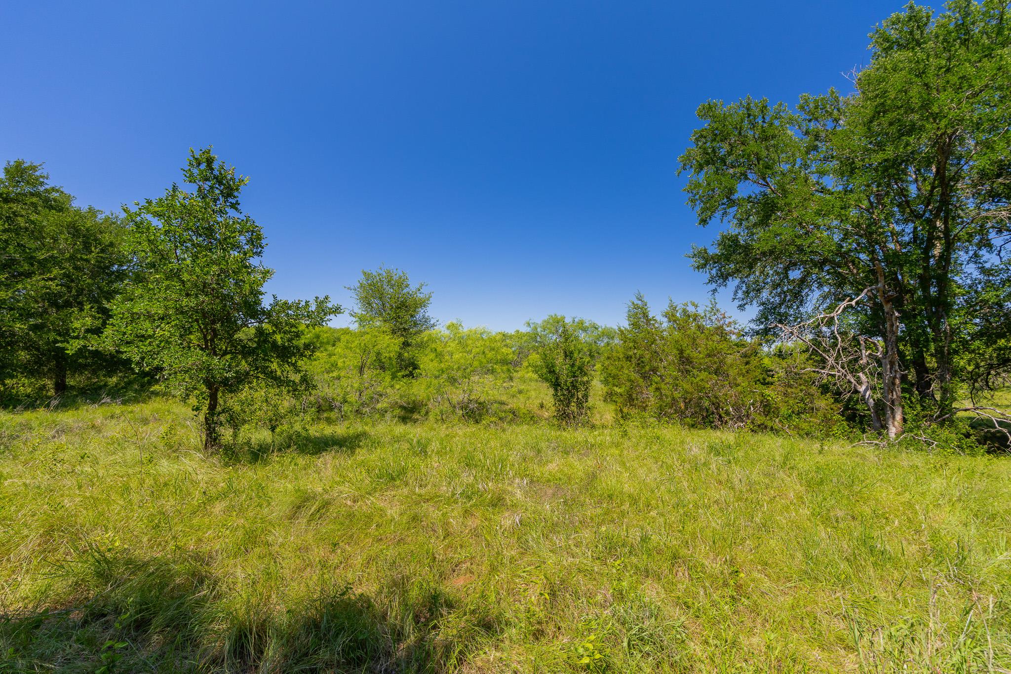 Tbd County Road 180 Covered Meadows Ranch Rd Property Photo 20