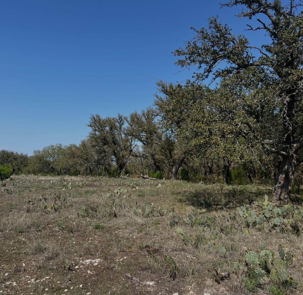 Lot 42 Waterbuck Way Property Photo