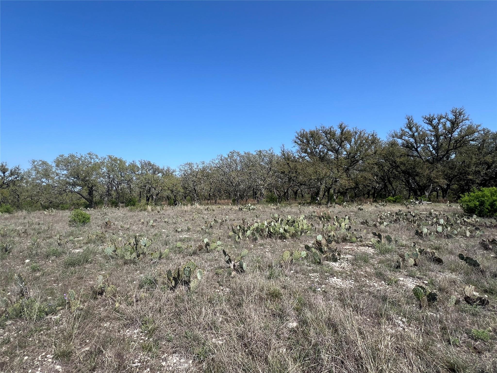 Lot 42 Waterbuck Way Property Photo 5