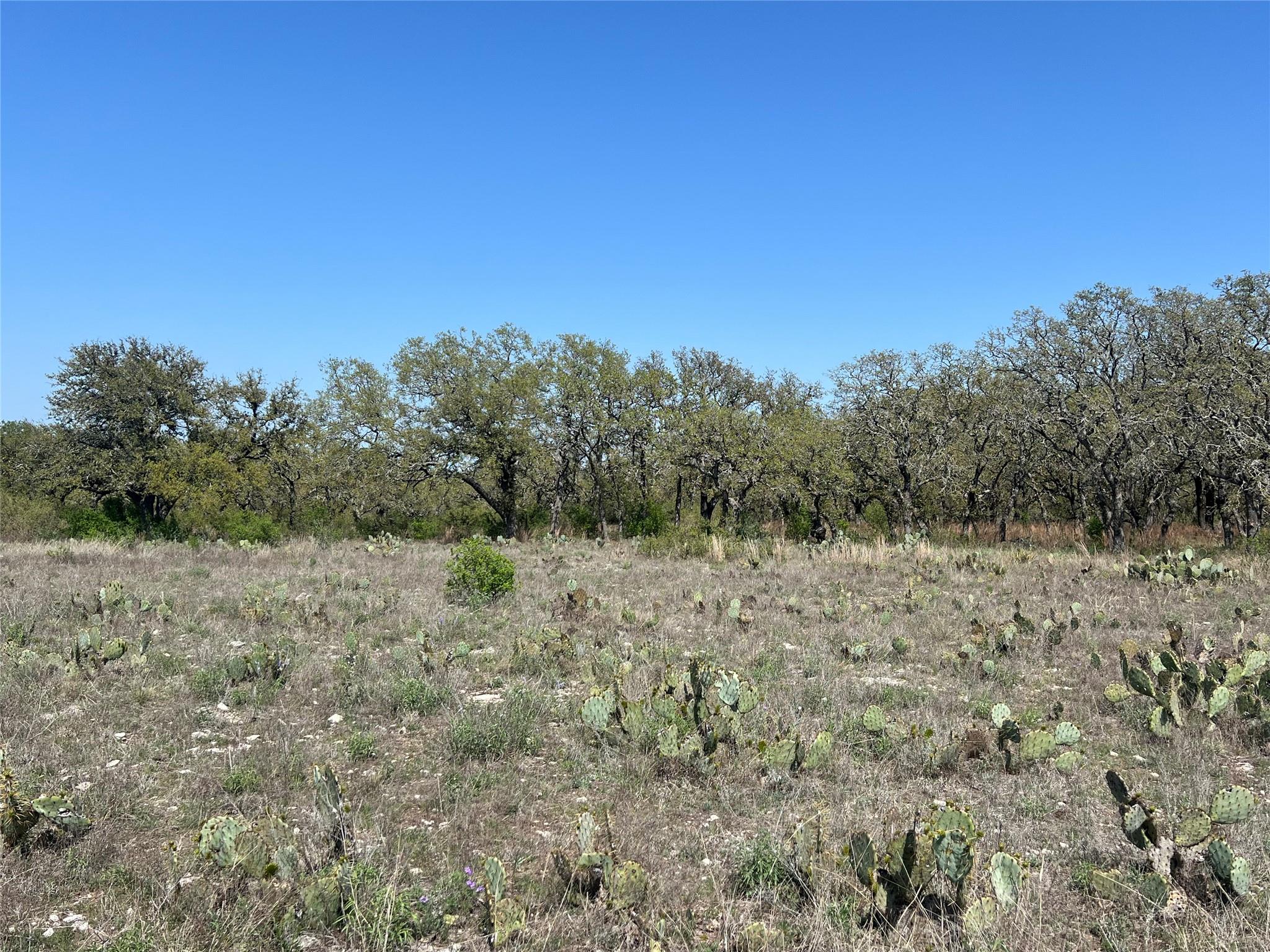 Lot 42 Waterbuck Way Property Photo 9