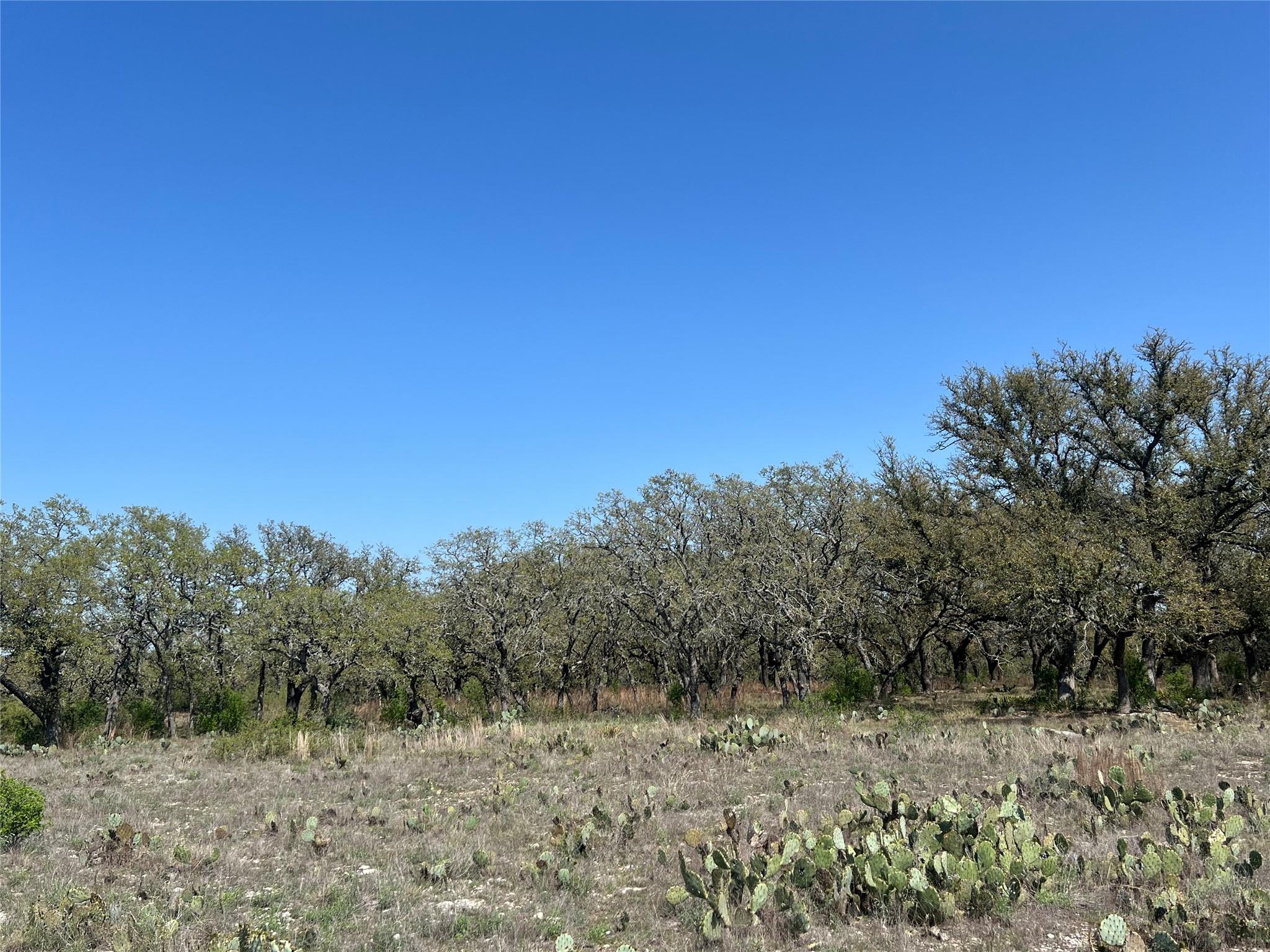 Lot 42 Waterbuck Way Property Photo 10