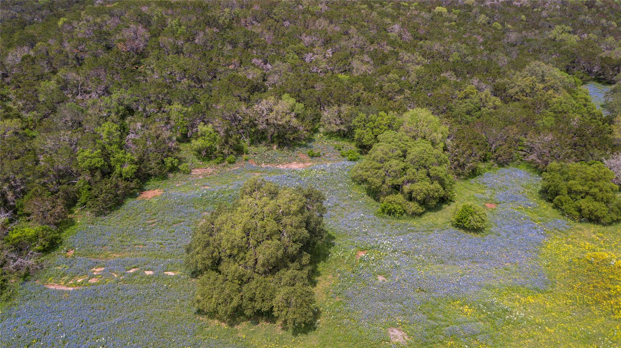 Lot 8 Stone Mountain Dr Property Photo 6