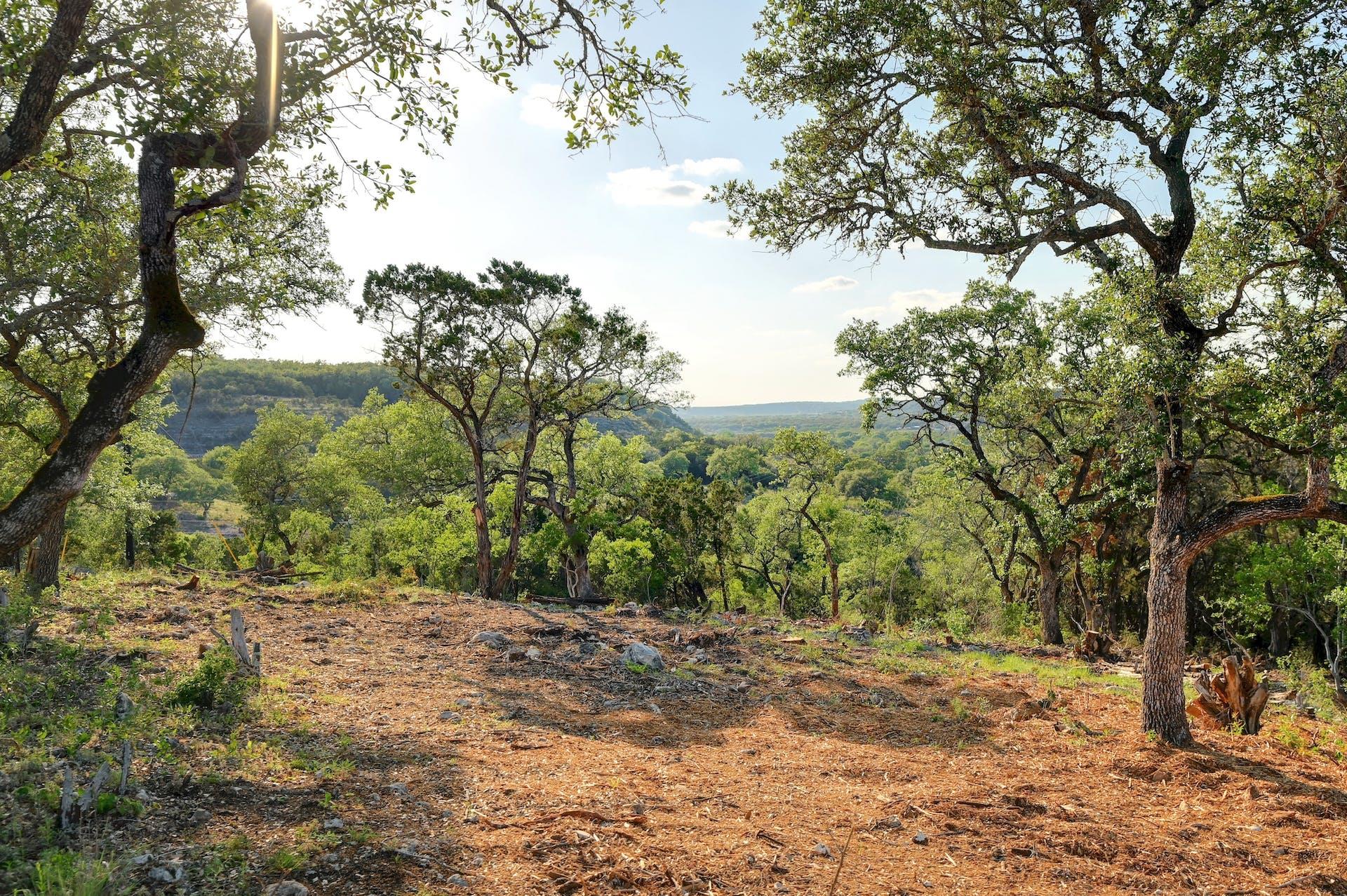 10700 Fm306 Property Photo 2