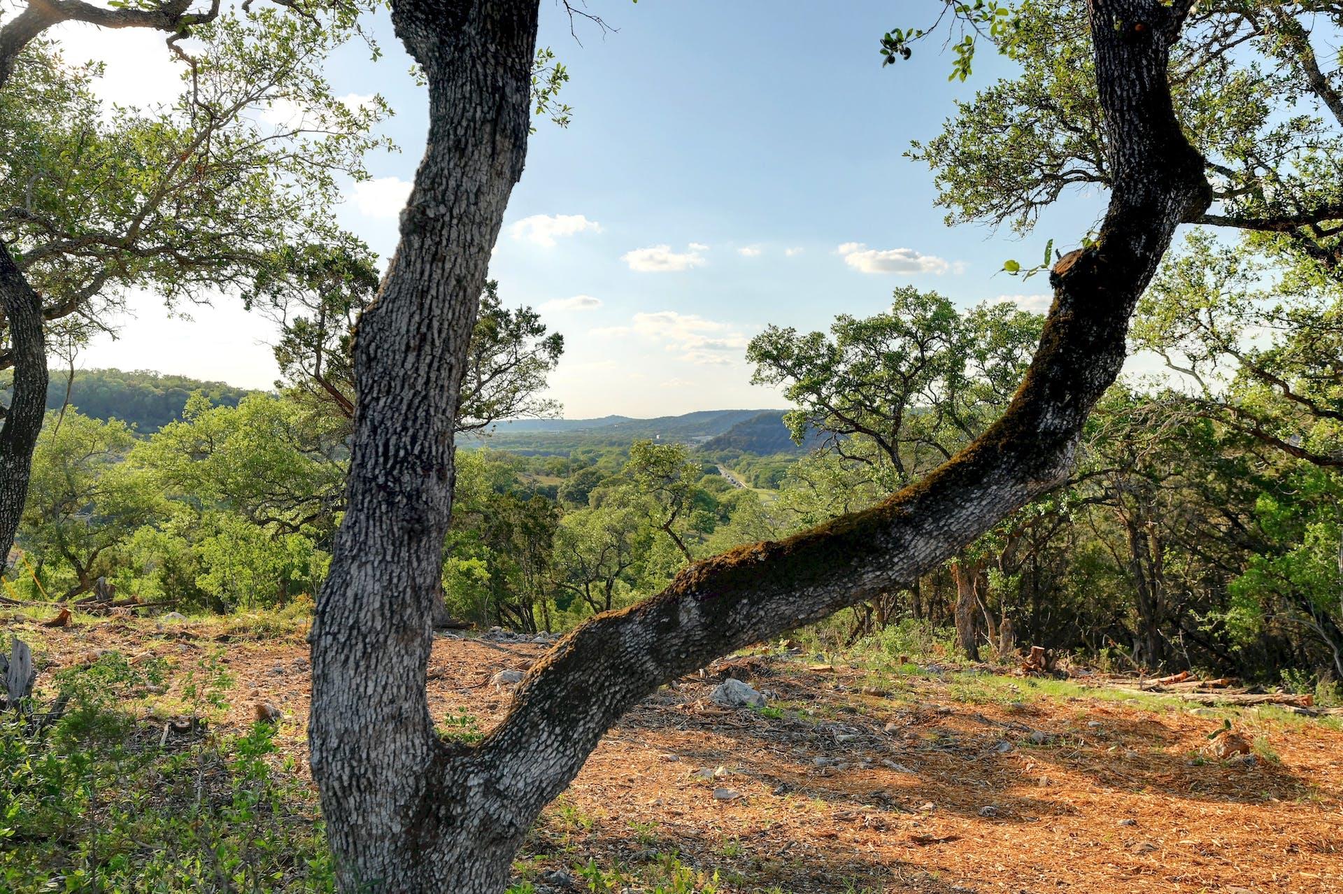 10700 Fm306 Property Photo 4