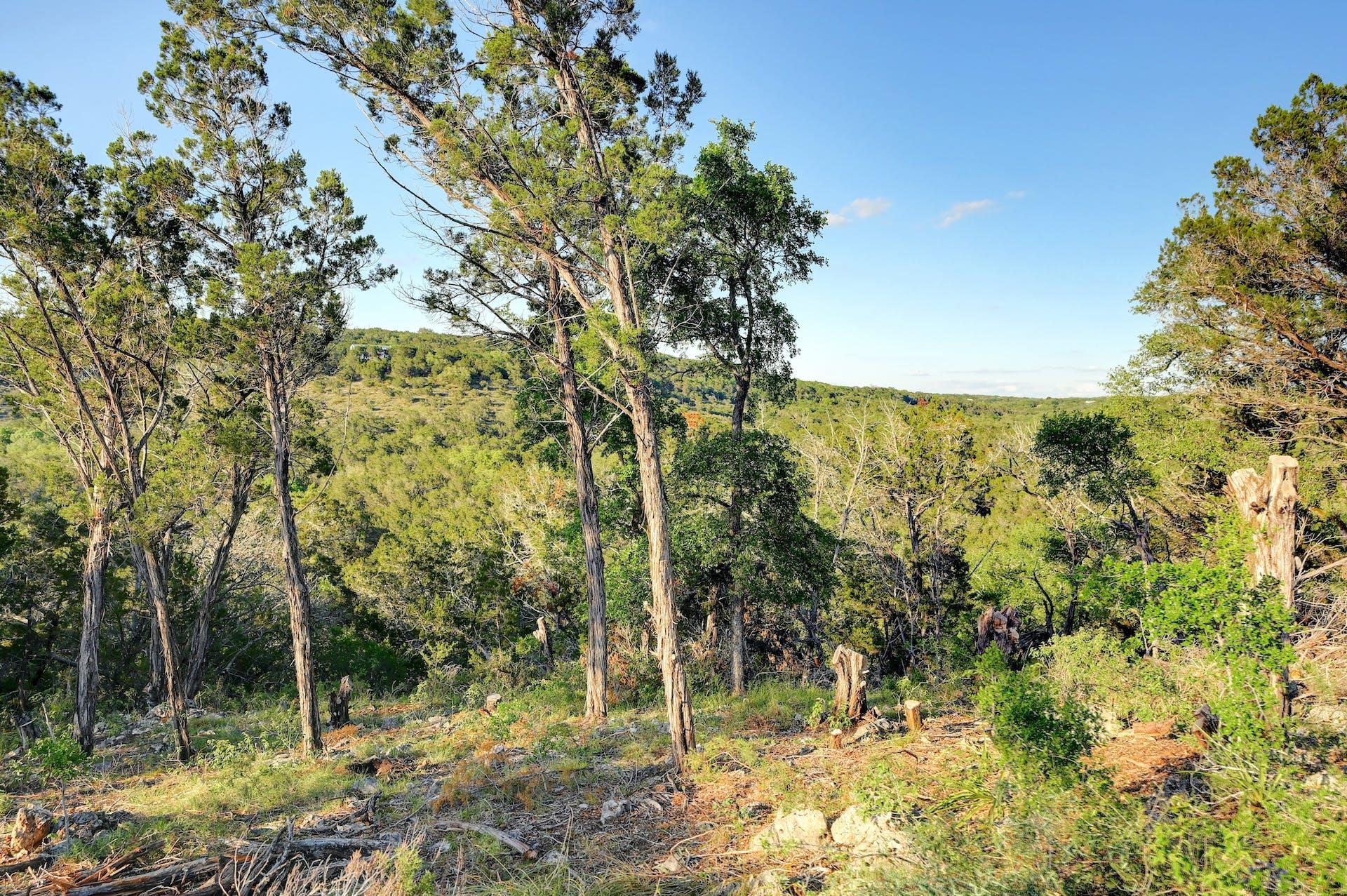 10700 Fm306 Property Photo 10