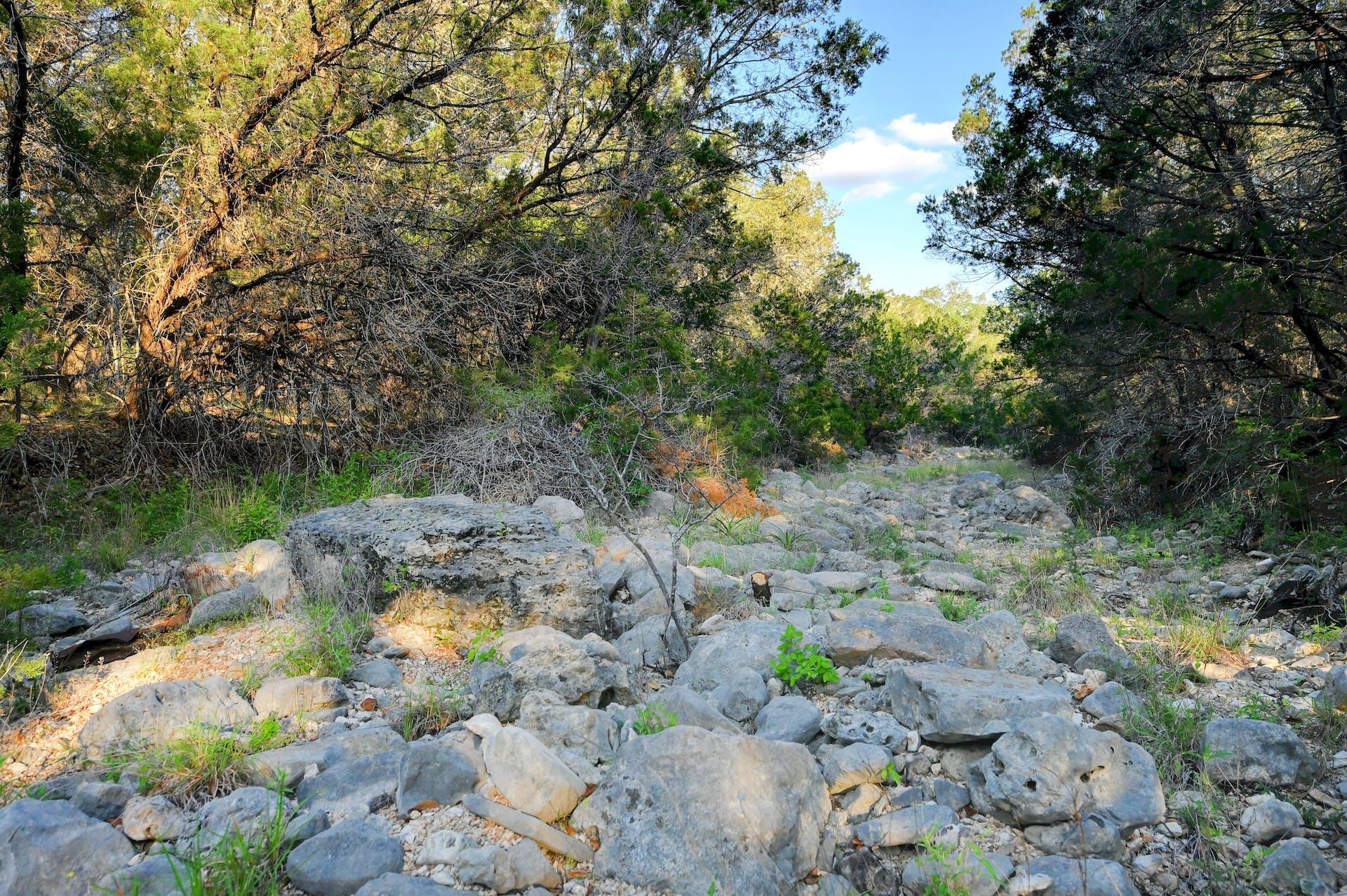 10700 Fm306 Property Photo 13