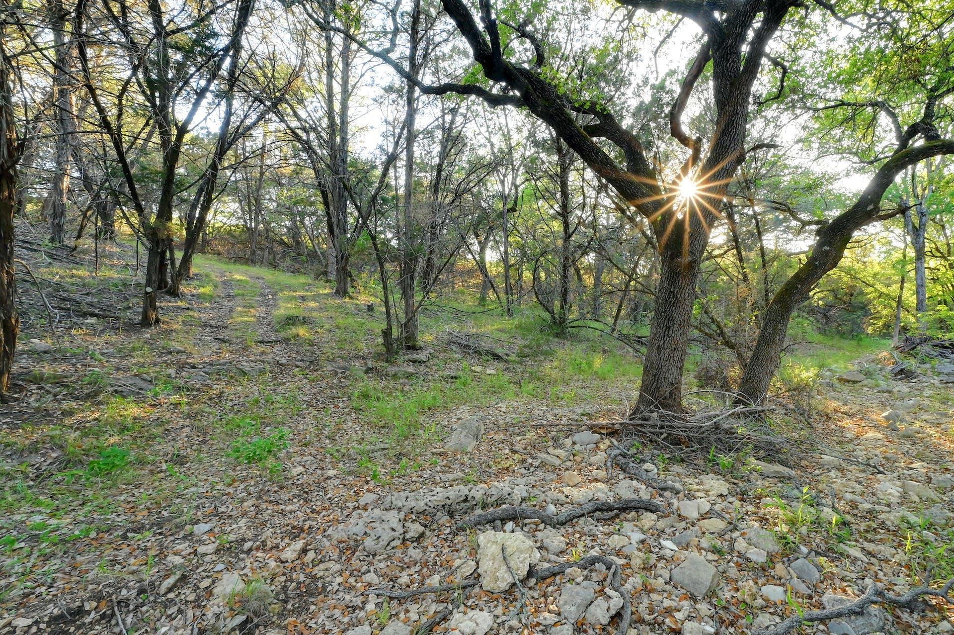10700 Fm306 Property Photo 14